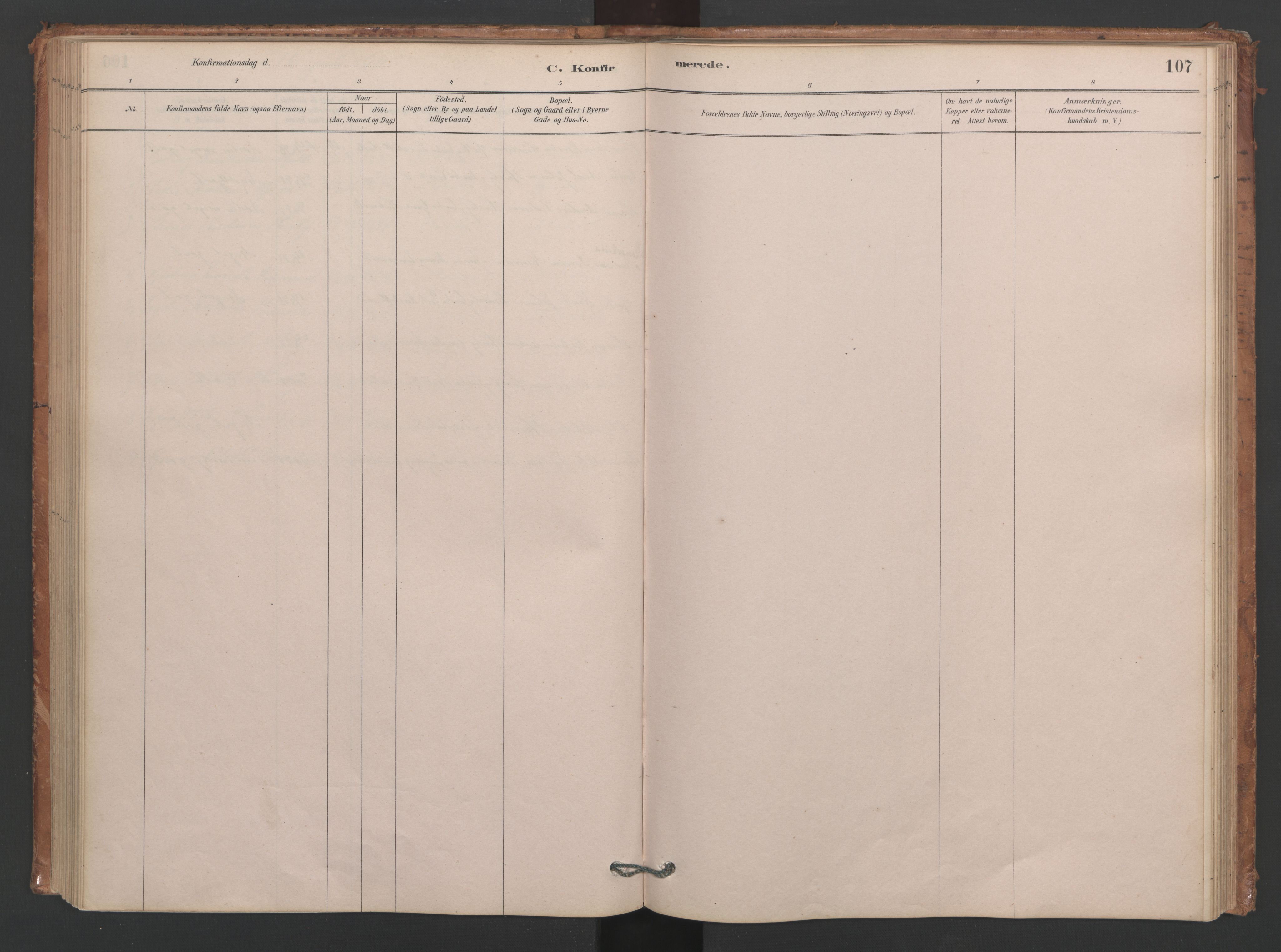 Ministerialprotokoller, klokkerbøker og fødselsregistre - Møre og Romsdal, AV/SAT-A-1454/593/L1034: Ministerialbok nr. 593A01, 1879-1911, s. 107