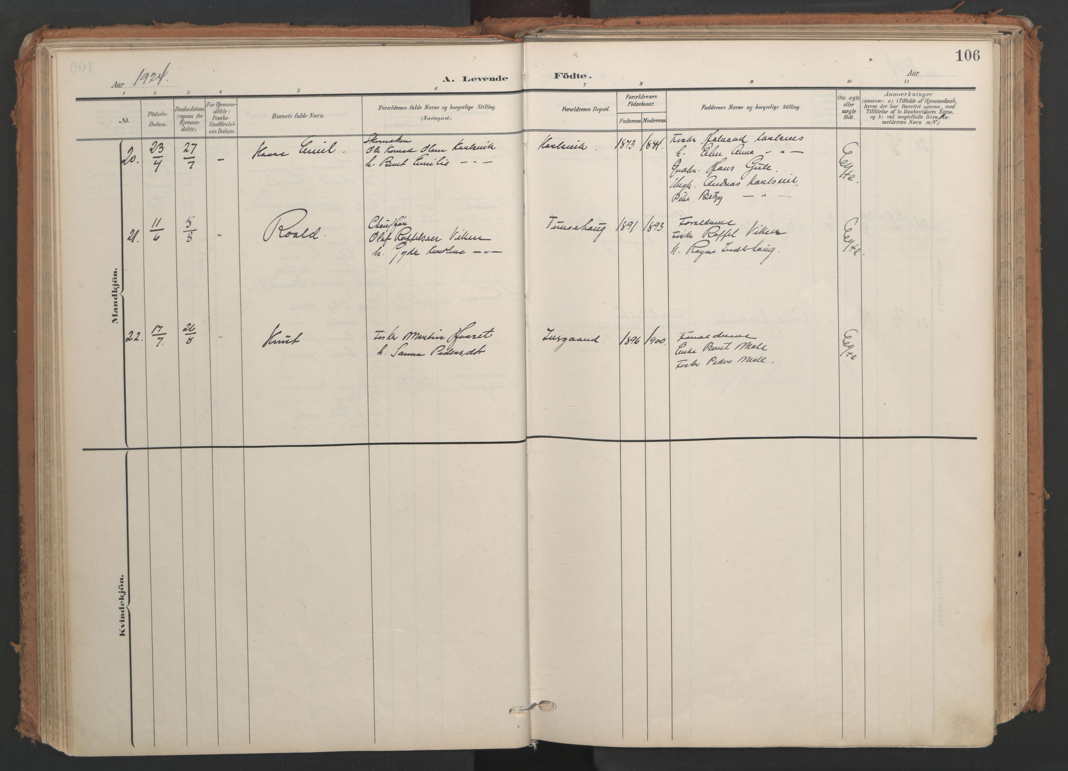 Ministerialprotokoller, klokkerbøker og fødselsregistre - Møre og Romsdal, AV/SAT-A-1454/566/L0771: Ministerialbok nr. 566A10, 1904-1929, s. 106