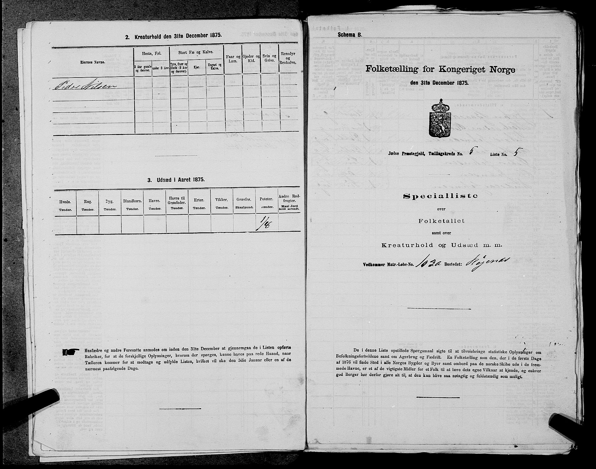 SAST, Folketelling 1875 for 1138P Jelsa prestegjeld, 1875, s. 419