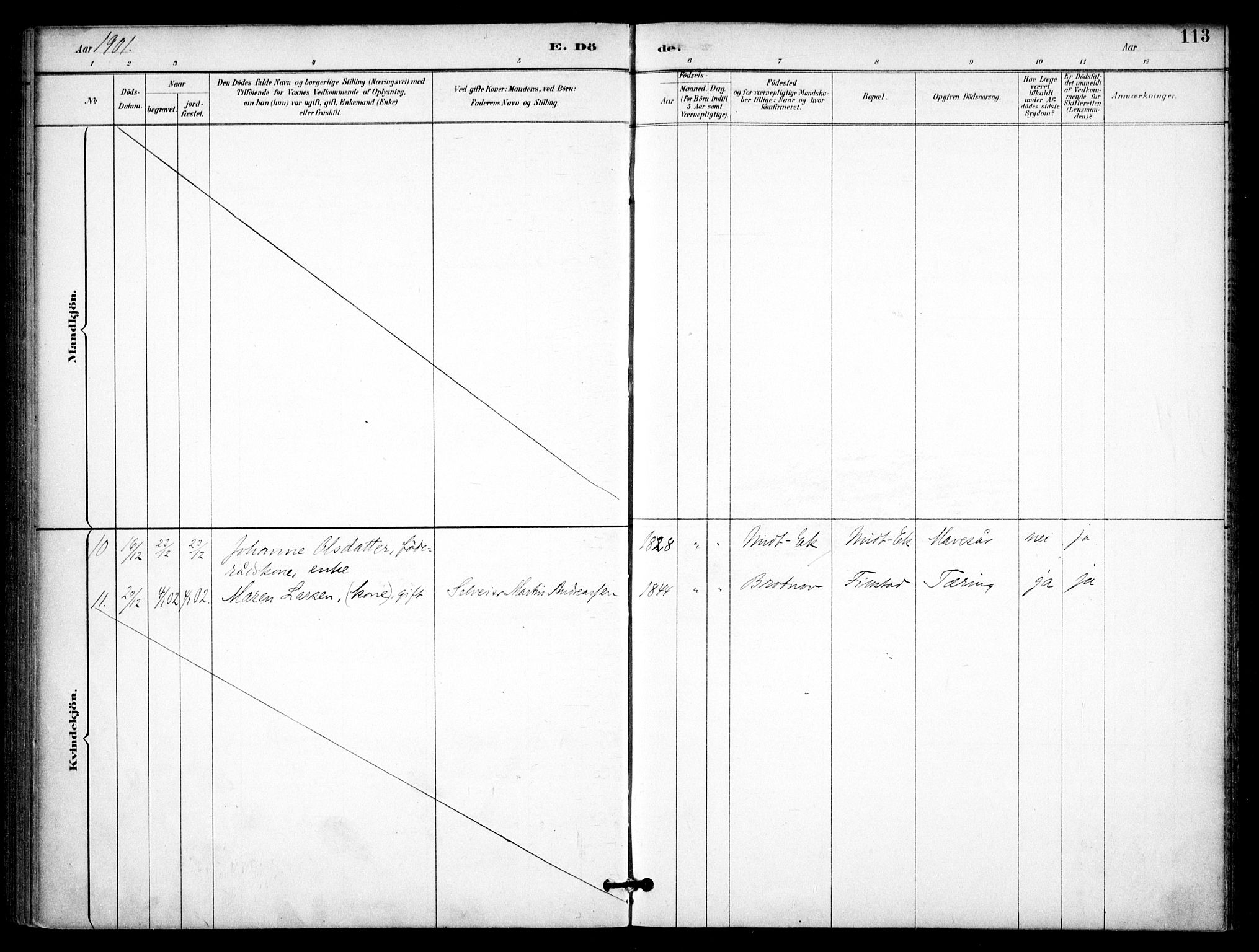 Nannestad prestekontor Kirkebøker, SAO/A-10414a/F/Fb/L0002: Ministerialbok nr. II 2, 1891-1909, s. 113