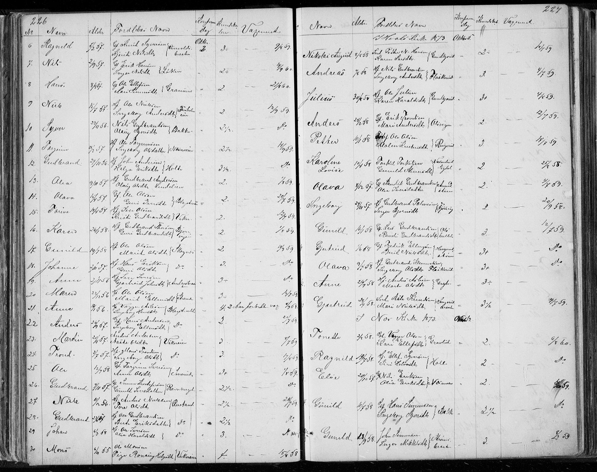 Ådal kirkebøker, AV/SAKO-A-248/G/Ga/L0003: Klokkerbok nr. I 3, 1862-1891, s. 226-227