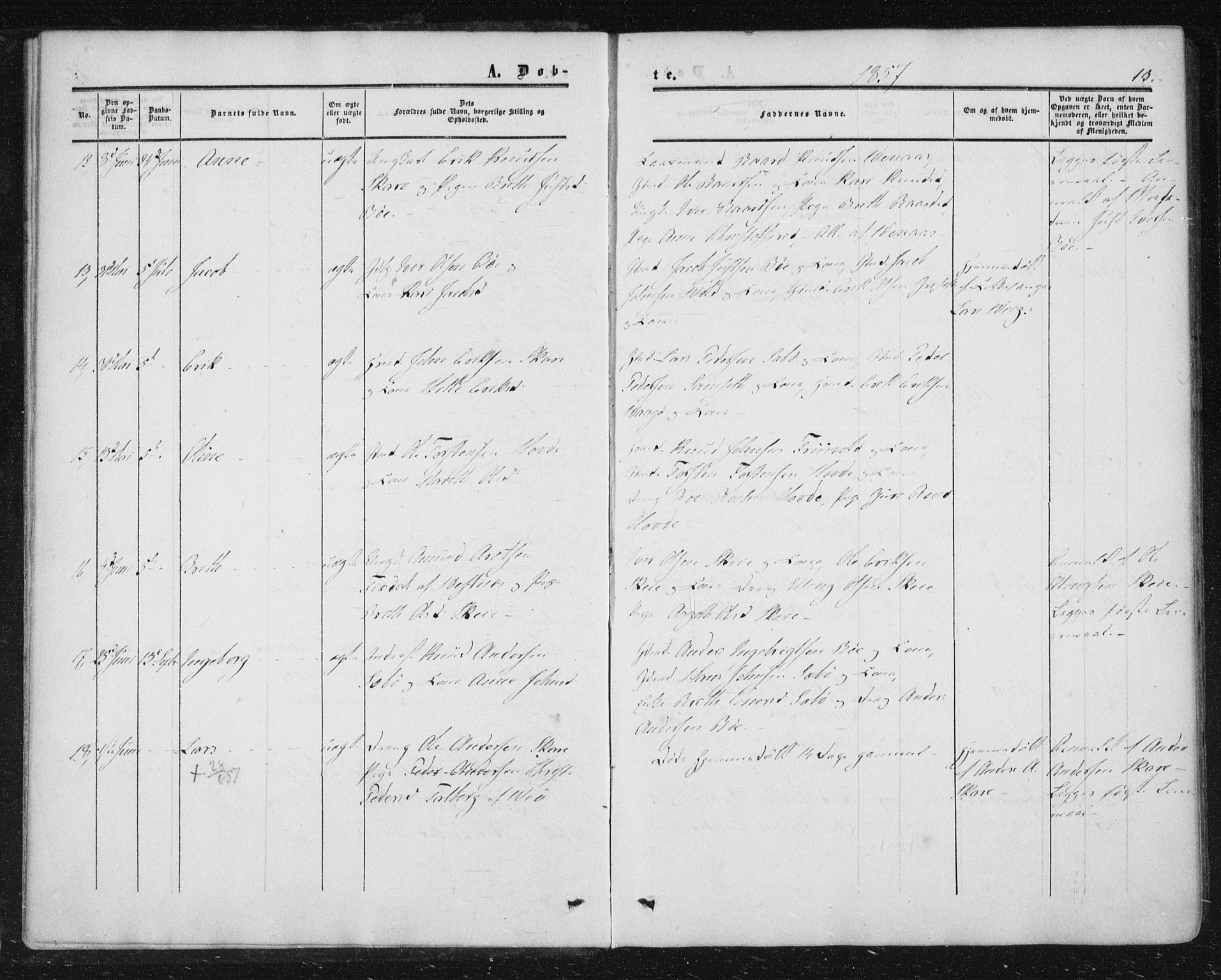 Ministerialprotokoller, klokkerbøker og fødselsregistre - Møre og Romsdal, AV/SAT-A-1454/543/L0562: Ministerialbok nr. 543A02, 1854-1884, s. 13