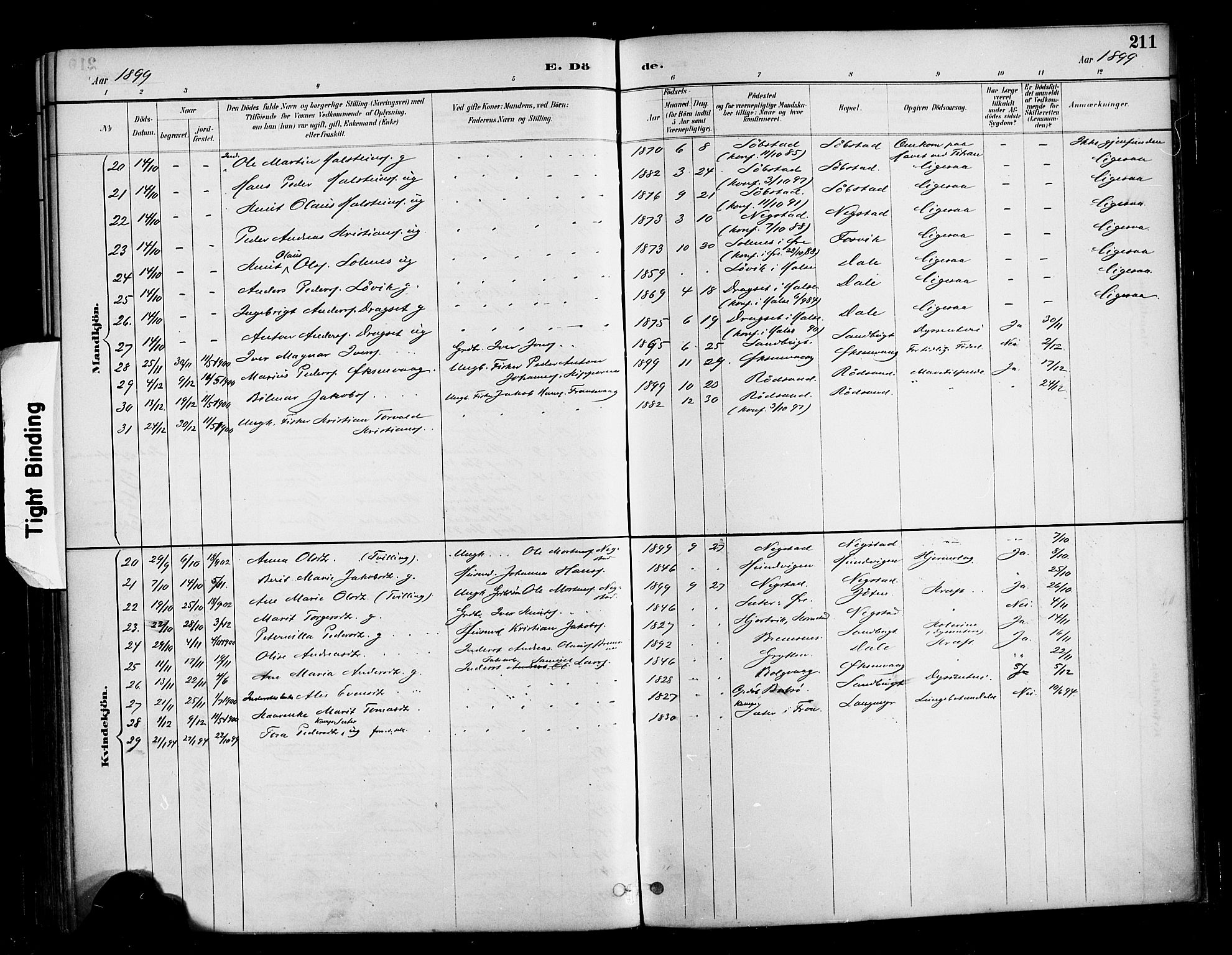 Ministerialprotokoller, klokkerbøker og fødselsregistre - Møre og Romsdal, SAT/A-1454/569/L0819: Ministerialbok nr. 569A05, 1885-1899, s. 211
