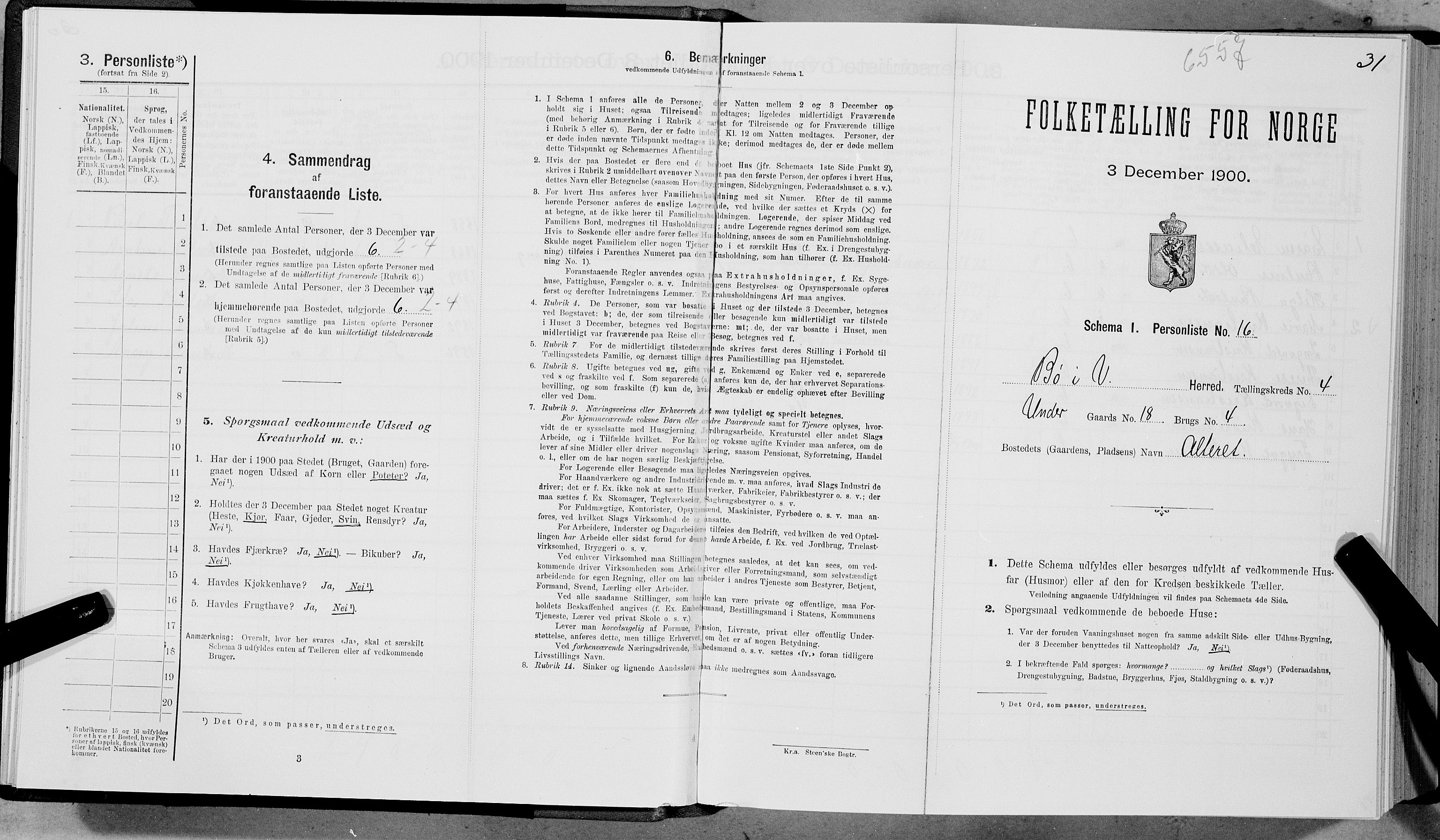 SAT, Folketelling 1900 for 1867 Bø herred, 1900, s. 441