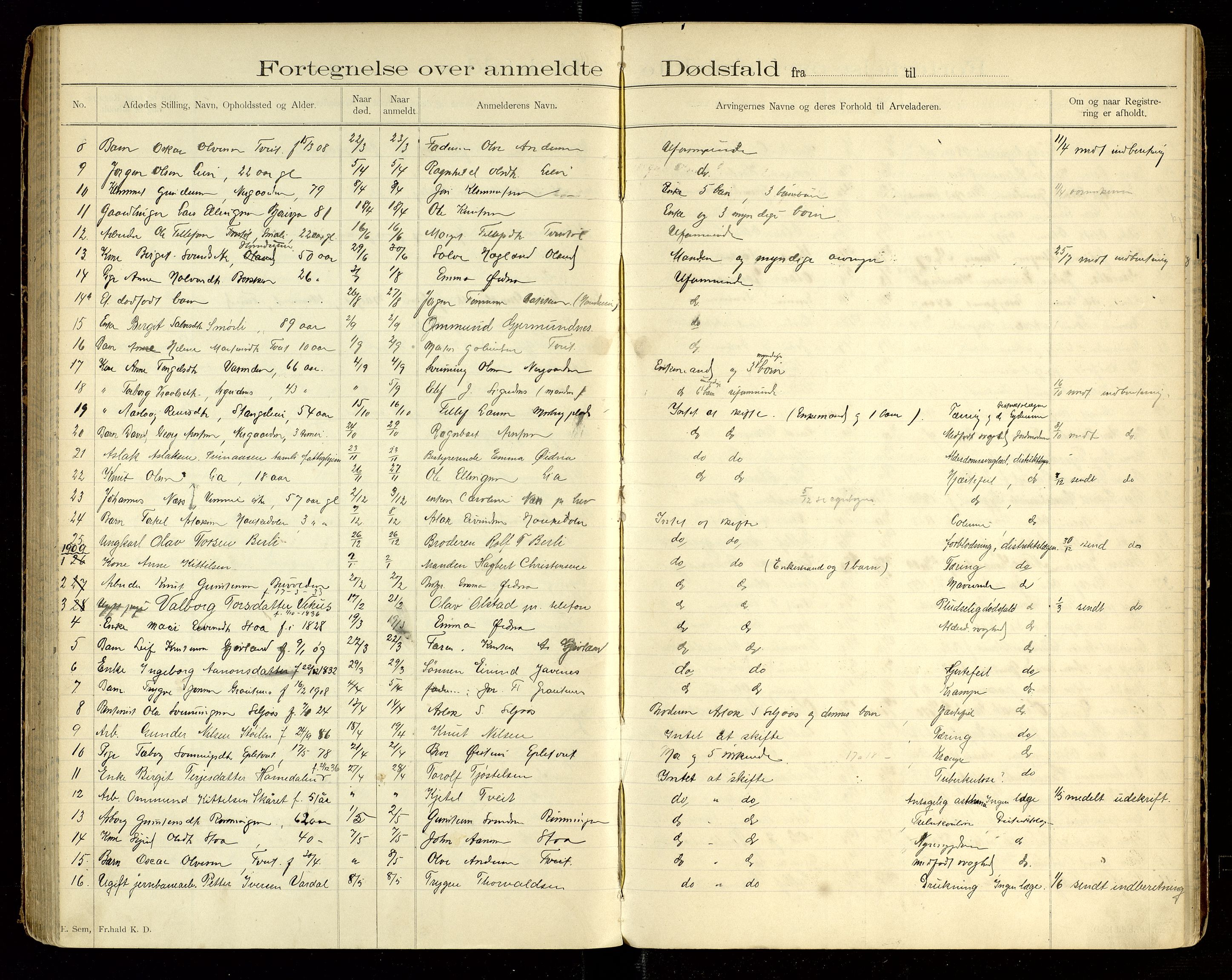 Åmli lensmannskontor, AV/SAK-1241-0054/F/Fe/L0001: Dødsfallsprotokoll nr 100, 1893-1924