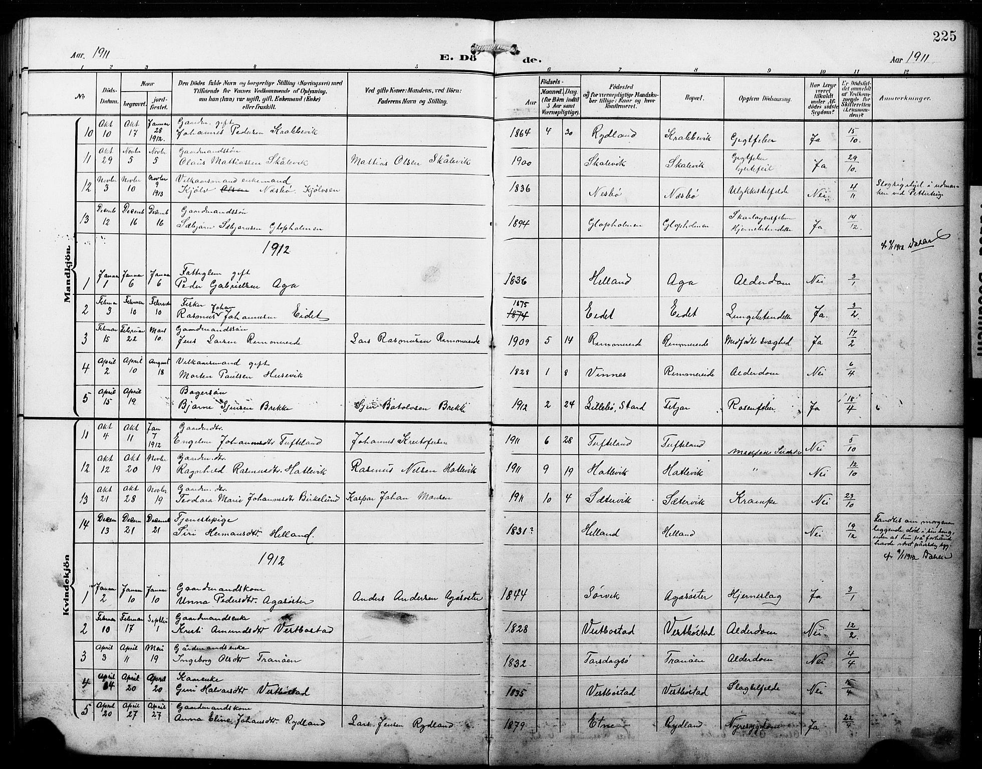 Fitjar sokneprestembete, AV/SAB-A-99926: Klokkerbok nr. B 1, 1906-1928, s. 225