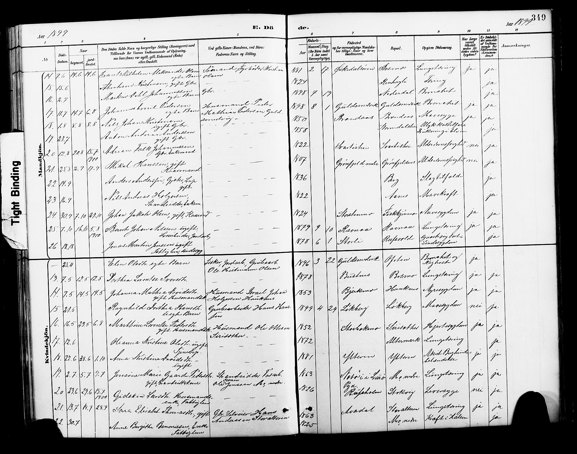 Ministerialprotokoller, klokkerbøker og fødselsregistre - Nordland, AV/SAT-A-1459/827/L0421: Klokkerbok nr. 827C10, 1887-1906, s. 349