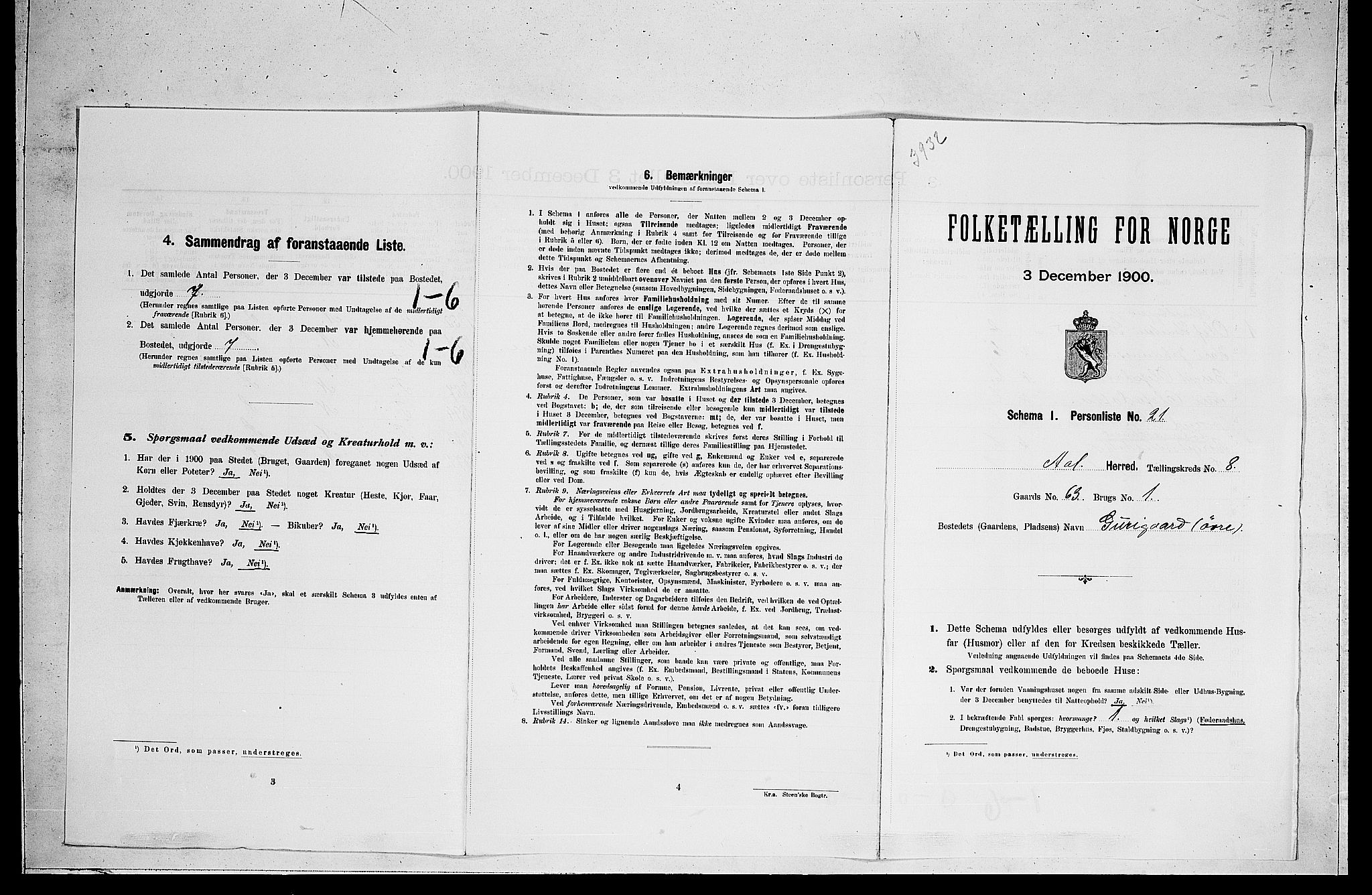 RA, Folketelling 1900 for 0619 Ål herred, 1900, s. 721