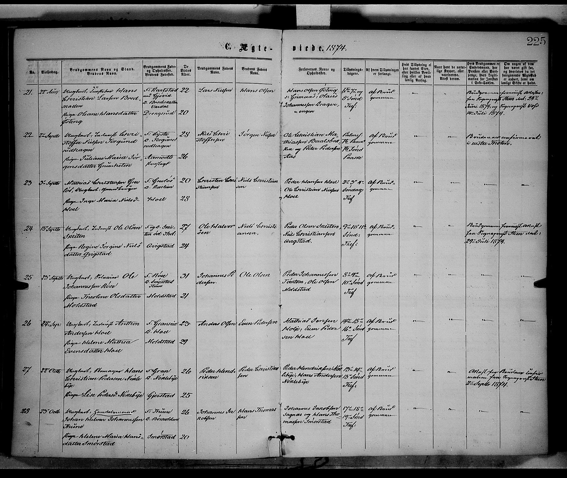 Vestre Toten prestekontor, AV/SAH-PREST-108/H/Ha/Haa/L0008: Ministerialbok nr. 8, 1870-1877, s. 225