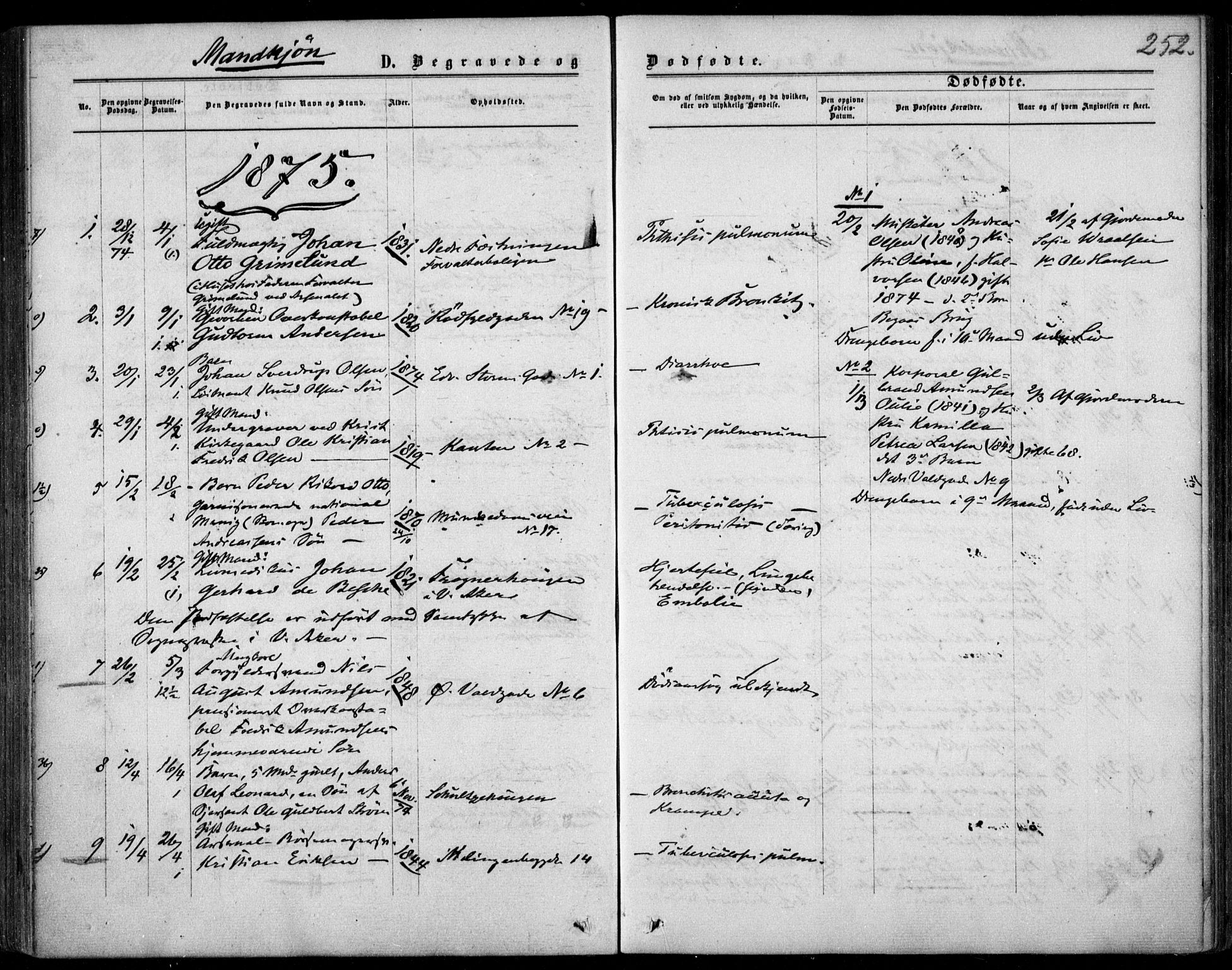 Garnisonsmenigheten Kirkebøker, AV/SAO-A-10846/F/Fa/L0011: Ministerialbok nr. 11, 1870-1880, s. 252