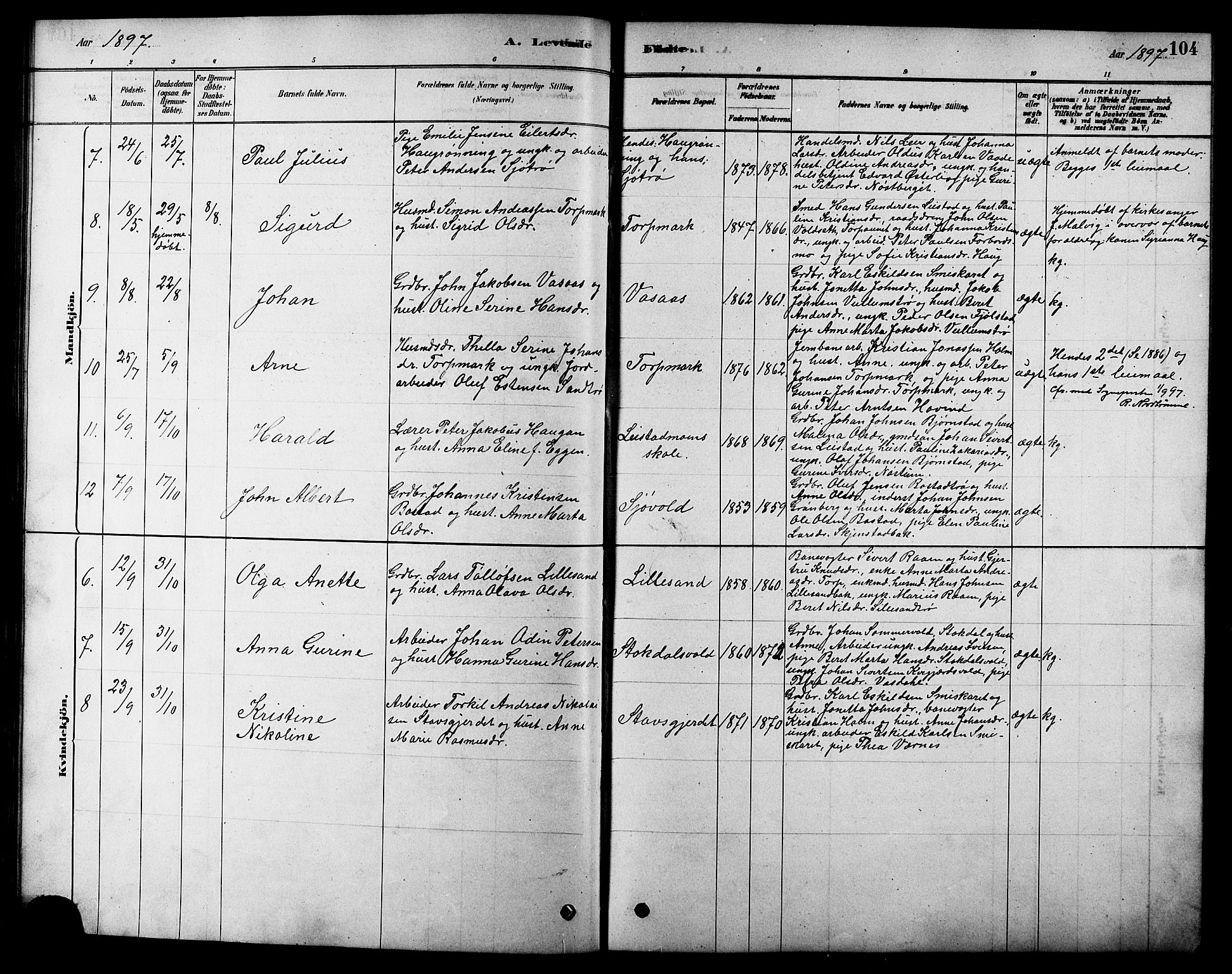 Ministerialprotokoller, klokkerbøker og fødselsregistre - Sør-Trøndelag, SAT/A-1456/616/L0423: Klokkerbok nr. 616C06, 1878-1903, s. 104