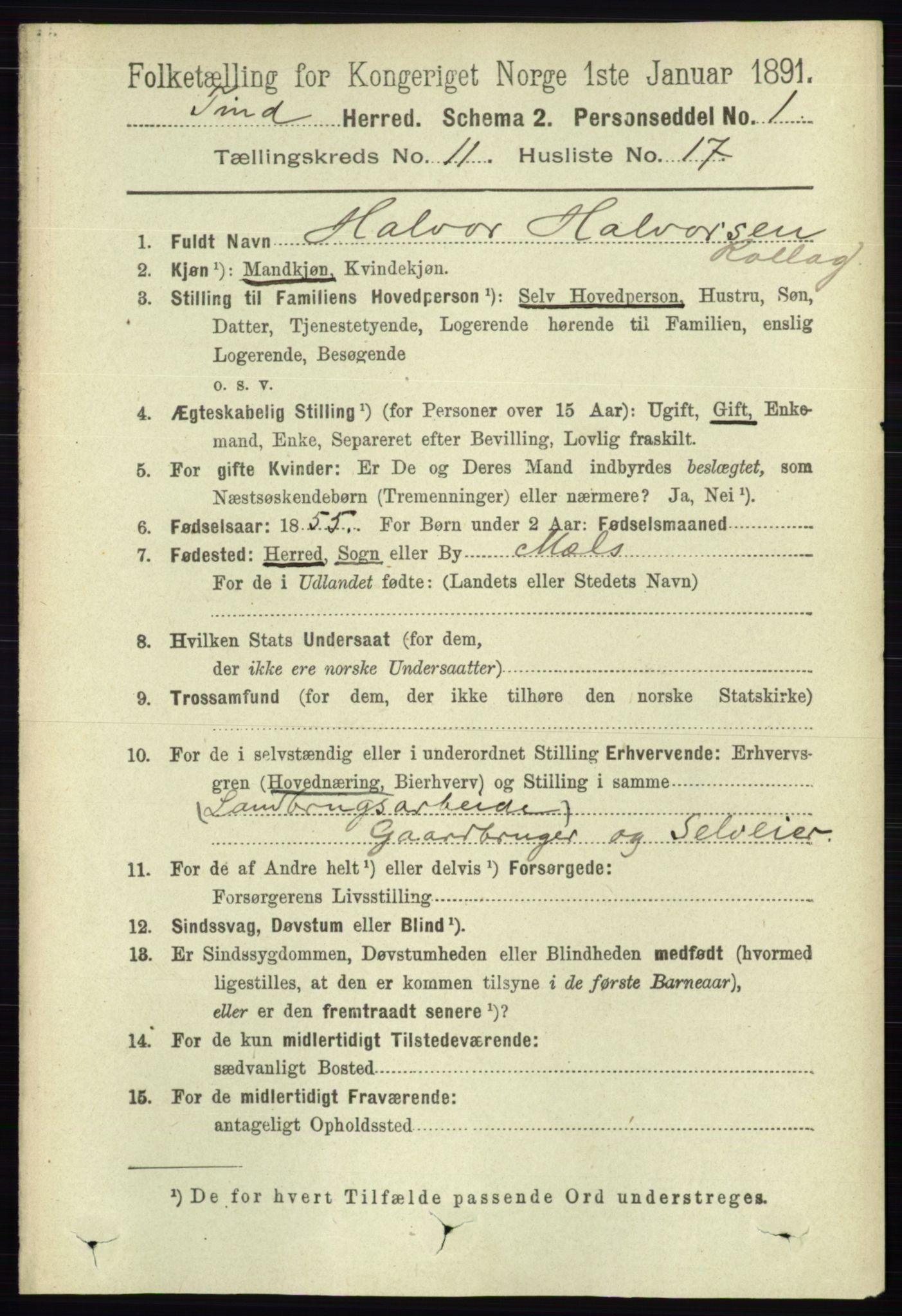 RA, Folketelling 1891 for 0826 Tinn herred, 1891, s. 2203
