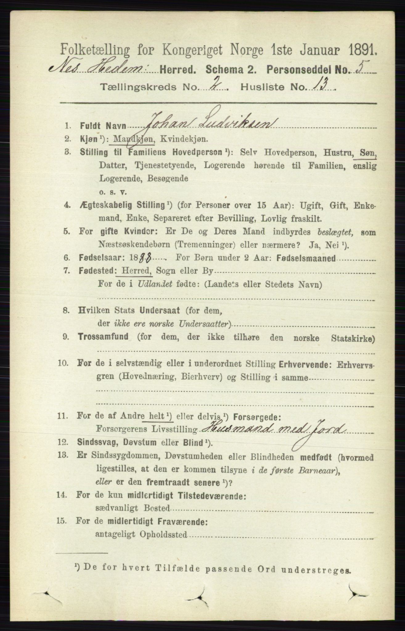 RA, Folketelling 1891 for 0411 Nes herred, 1891, s. 1149