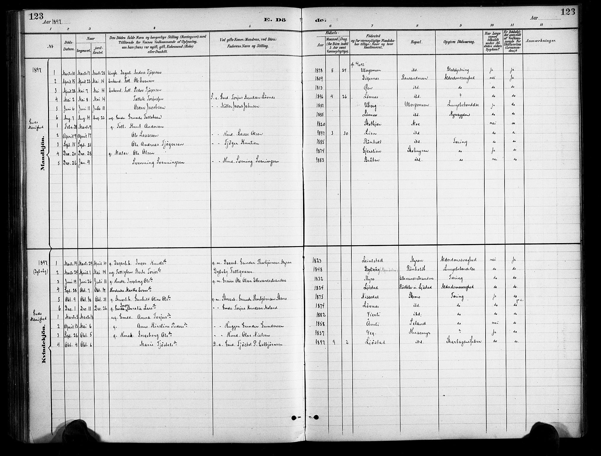 Gjerstad sokneprestkontor, AV/SAK-1111-0014/F/Fa/Fab/L0005: Ministerialbok nr. A 5, 1891-1908, s. 123