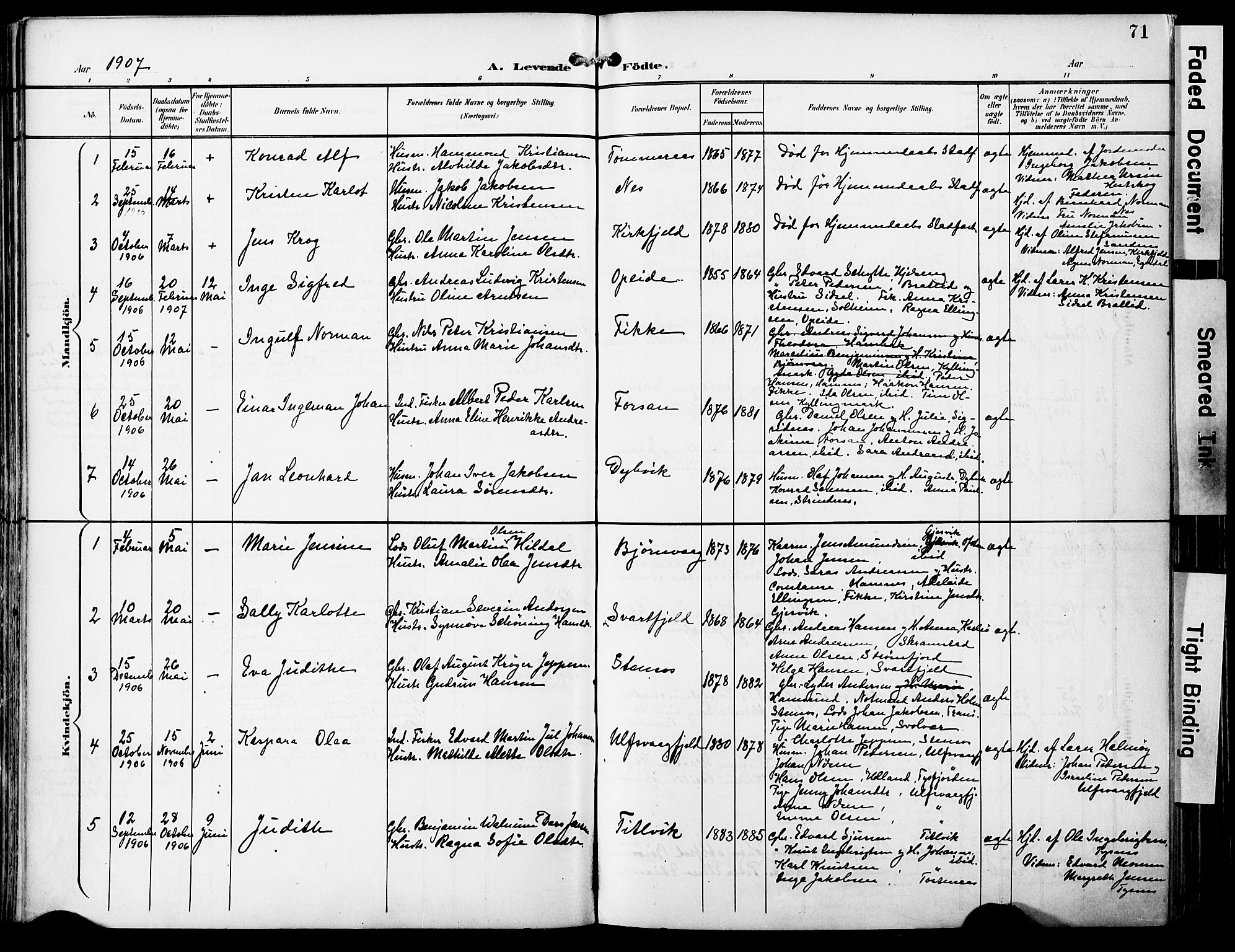 Ministerialprotokoller, klokkerbøker og fødselsregistre - Nordland, SAT/A-1459/859/L0848: Ministerialbok nr. 859A08, 1900-1912, s. 71