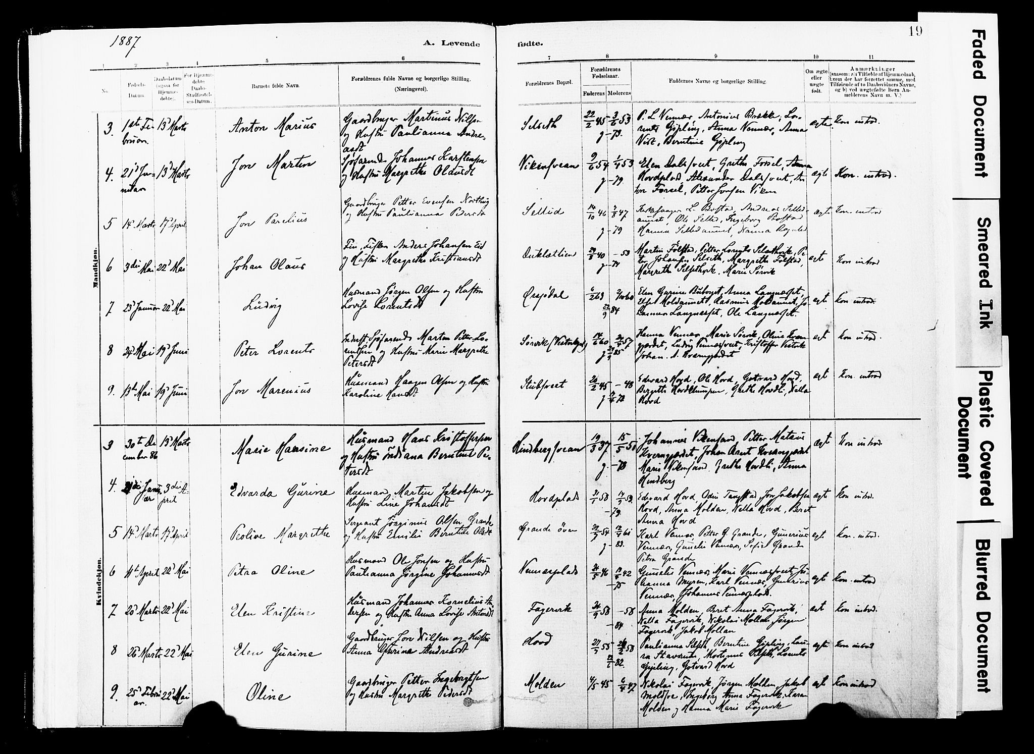 Ministerialprotokoller, klokkerbøker og fødselsregistre - Nord-Trøndelag, SAT/A-1458/744/L0420: Ministerialbok nr. 744A04, 1882-1904, s. 19