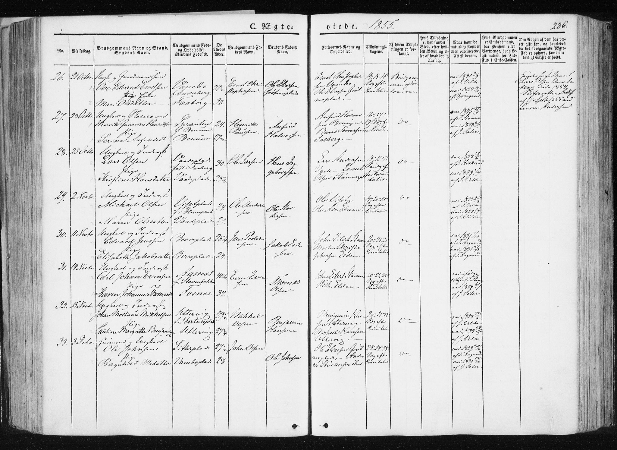 Ministerialprotokoller, klokkerbøker og fødselsregistre - Nord-Trøndelag, AV/SAT-A-1458/741/L0393: Ministerialbok nr. 741A07, 1849-1863, s. 236