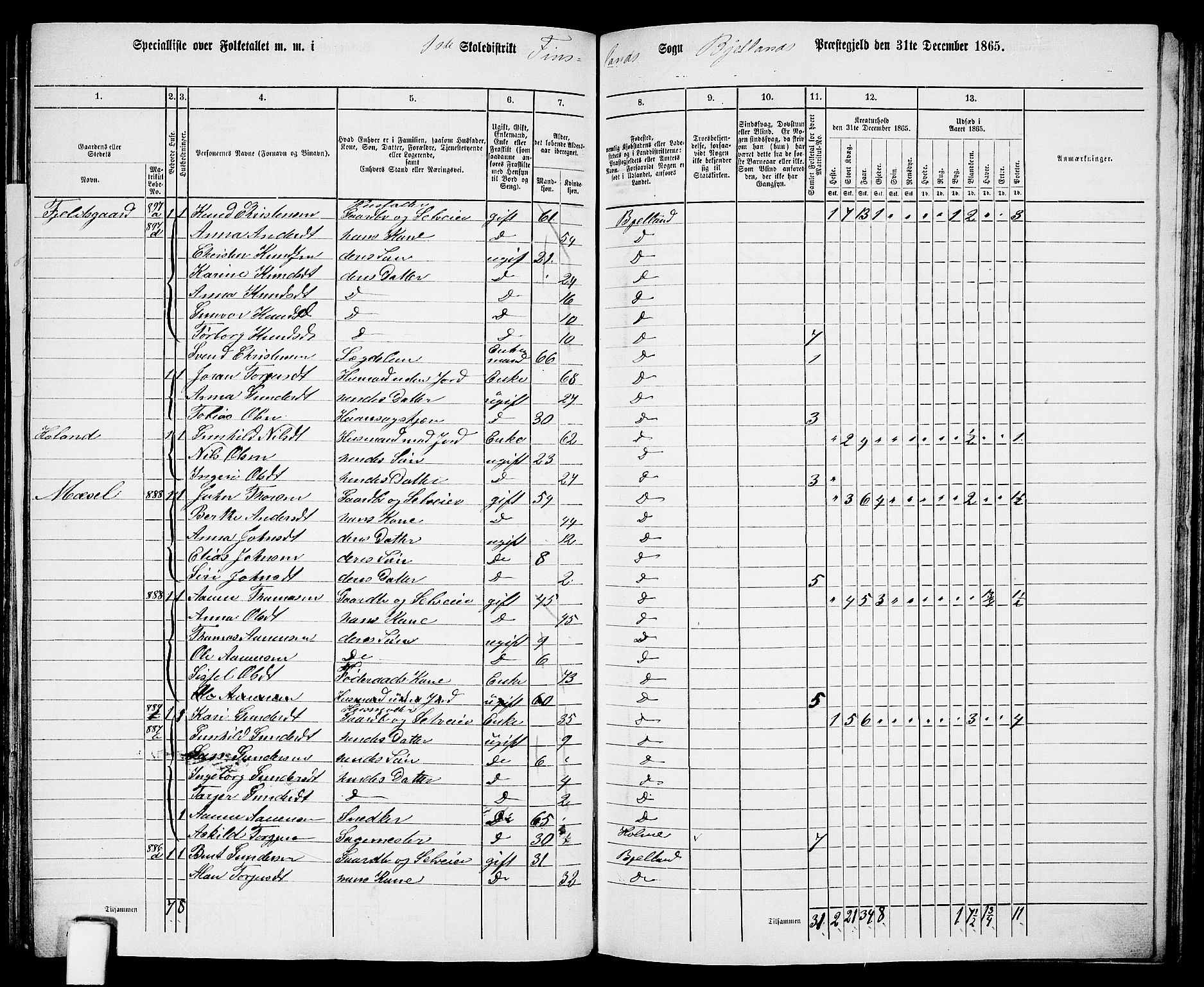 RA, Folketelling 1865 for 1024P Bjelland prestegjeld, 1865, s. 17