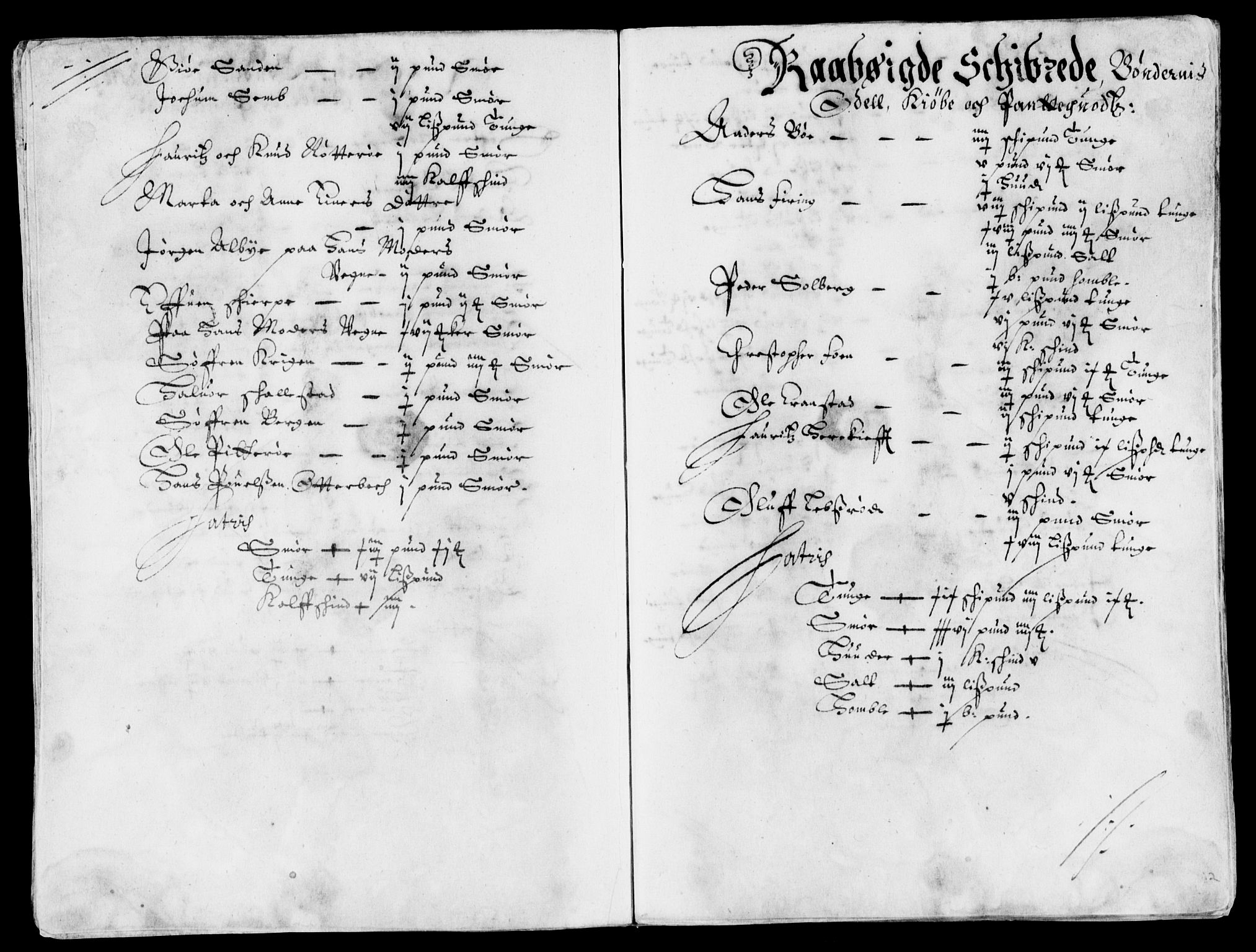 Rentekammeret inntil 1814, Reviderte regnskaper, Lensregnskaper, AV/RA-EA-5023/R/Rb/Rbo/L0025: Tønsberg len, 1643-1645