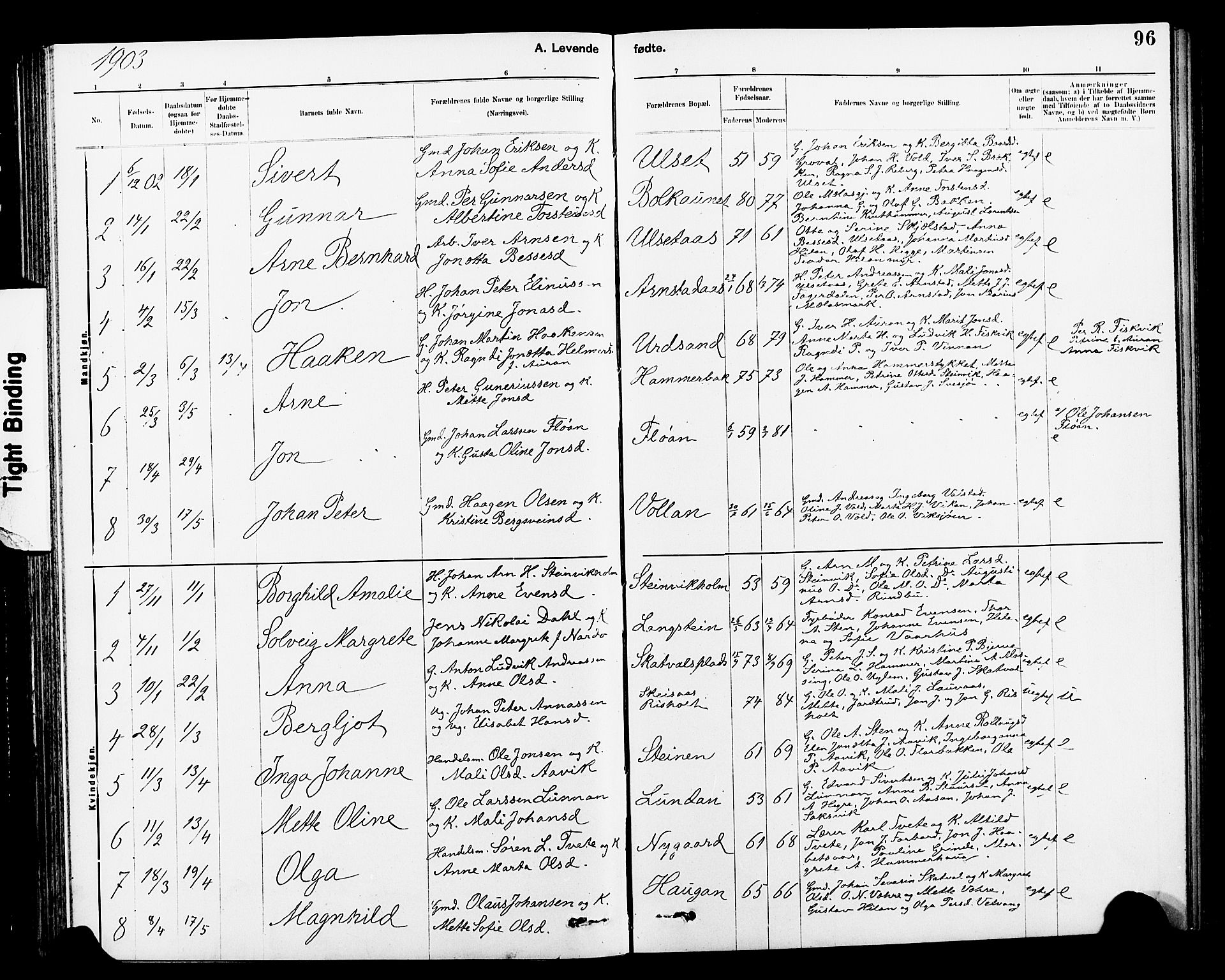 Ministerialprotokoller, klokkerbøker og fødselsregistre - Nord-Trøndelag, AV/SAT-A-1458/712/L0103: Klokkerbok nr. 712C01, 1878-1917, s. 96