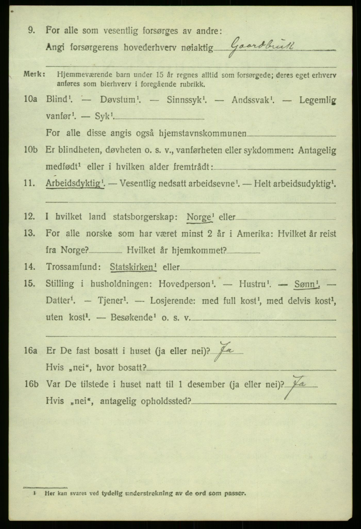 SAB, Folketelling 1920 for 1422 Lærdal herred, 1920, s. 3955