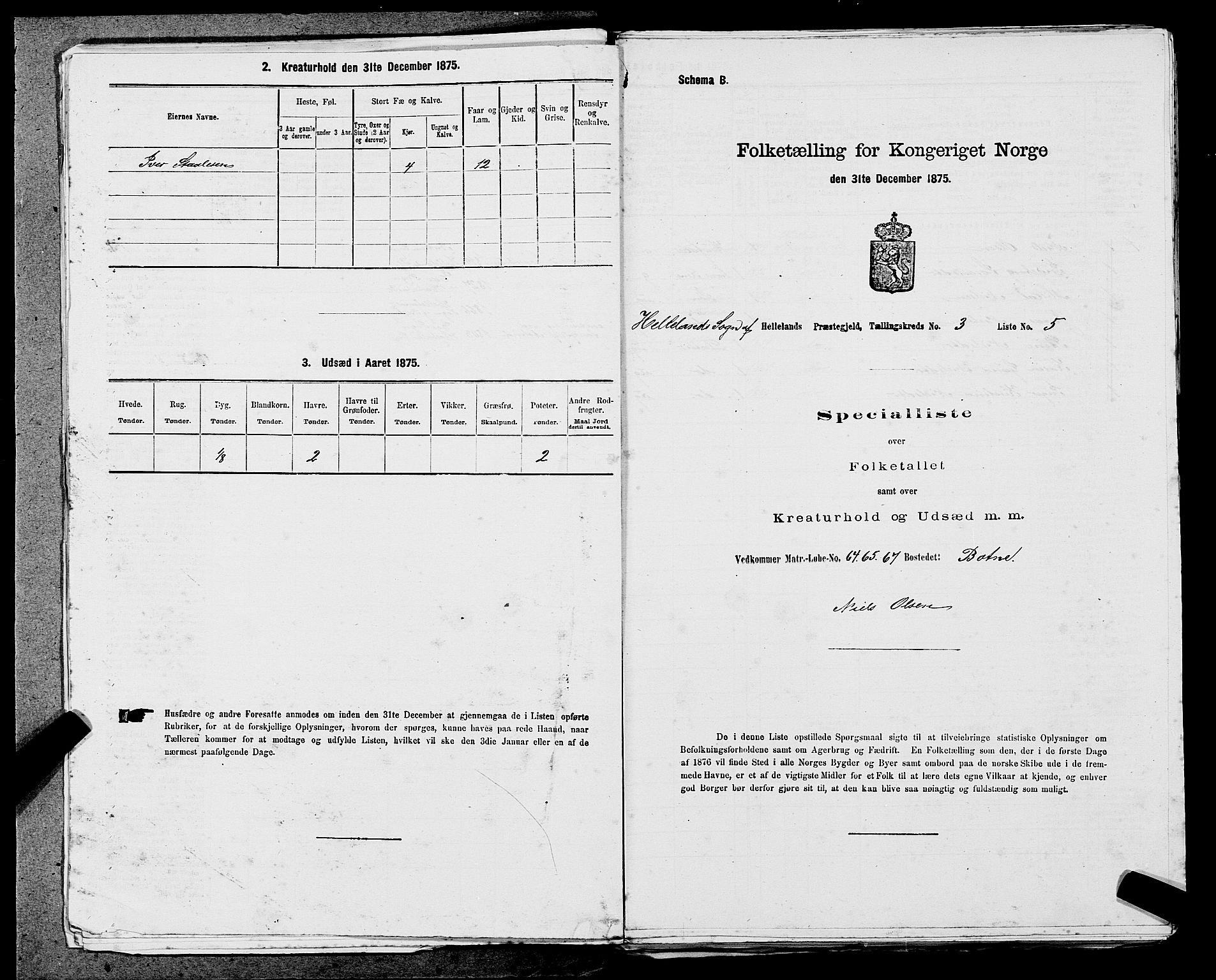 SAST, Folketelling 1875 for 1115P Helleland prestegjeld, 1875, s. 234