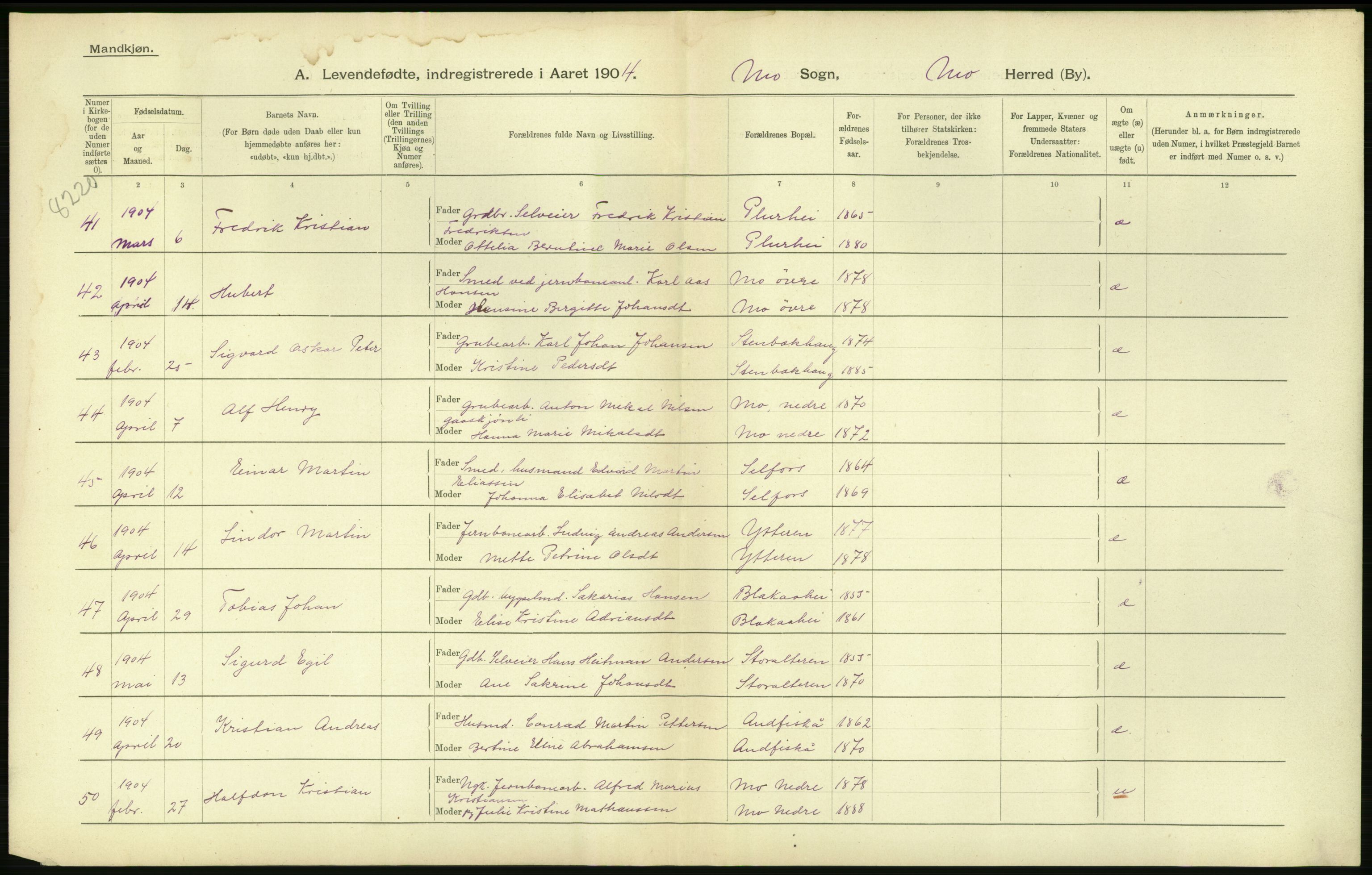 Statistisk sentralbyrå, Sosiodemografiske emner, Befolkning, AV/RA-S-2228/D/Df/Dfa/Dfab/L0020: Nordlands amt: Fødte. Bygder, 1904, s. 8