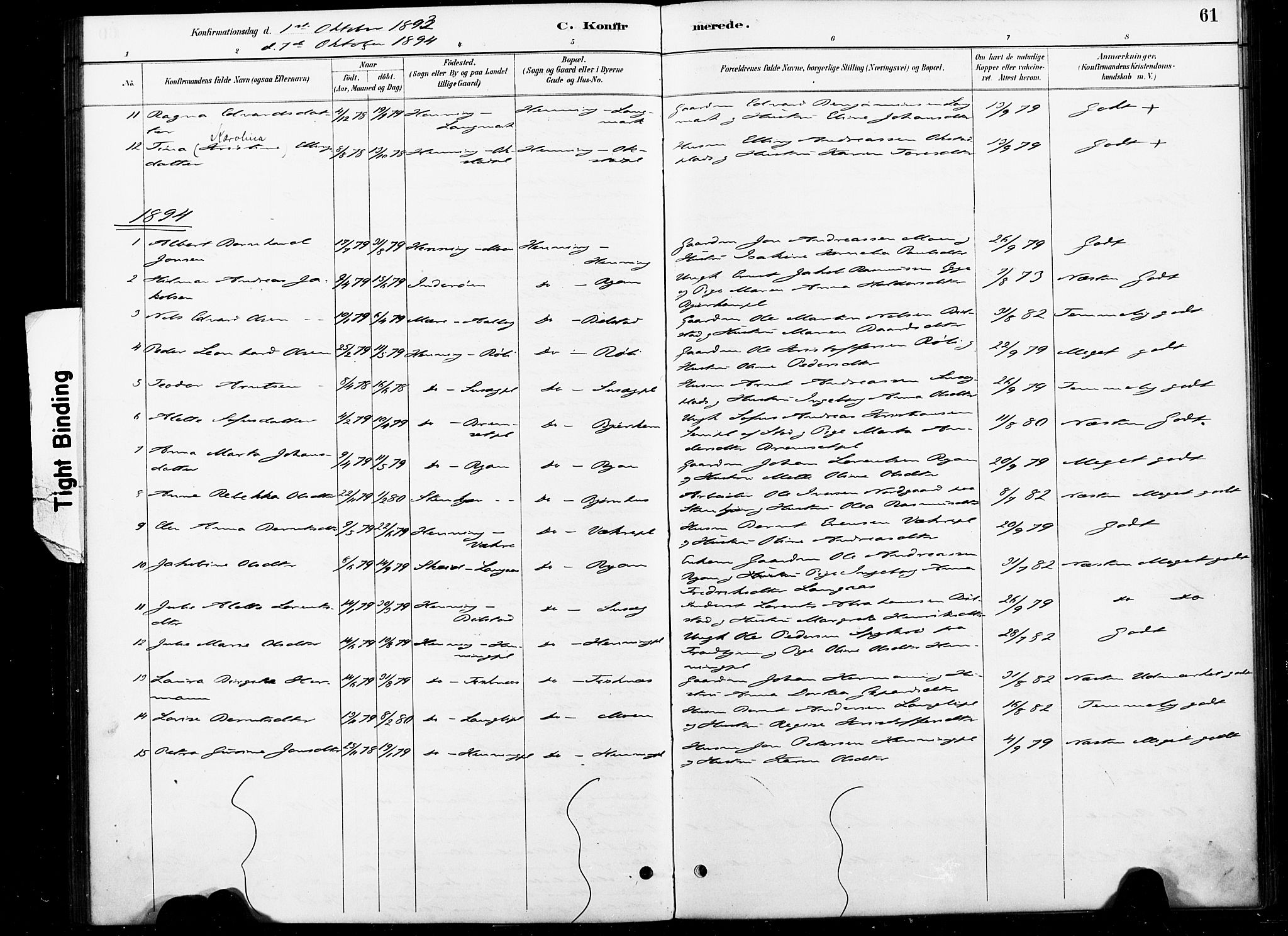 Ministerialprotokoller, klokkerbøker og fødselsregistre - Nord-Trøndelag, SAT/A-1458/738/L0364: Ministerialbok nr. 738A01, 1884-1902, s. 61