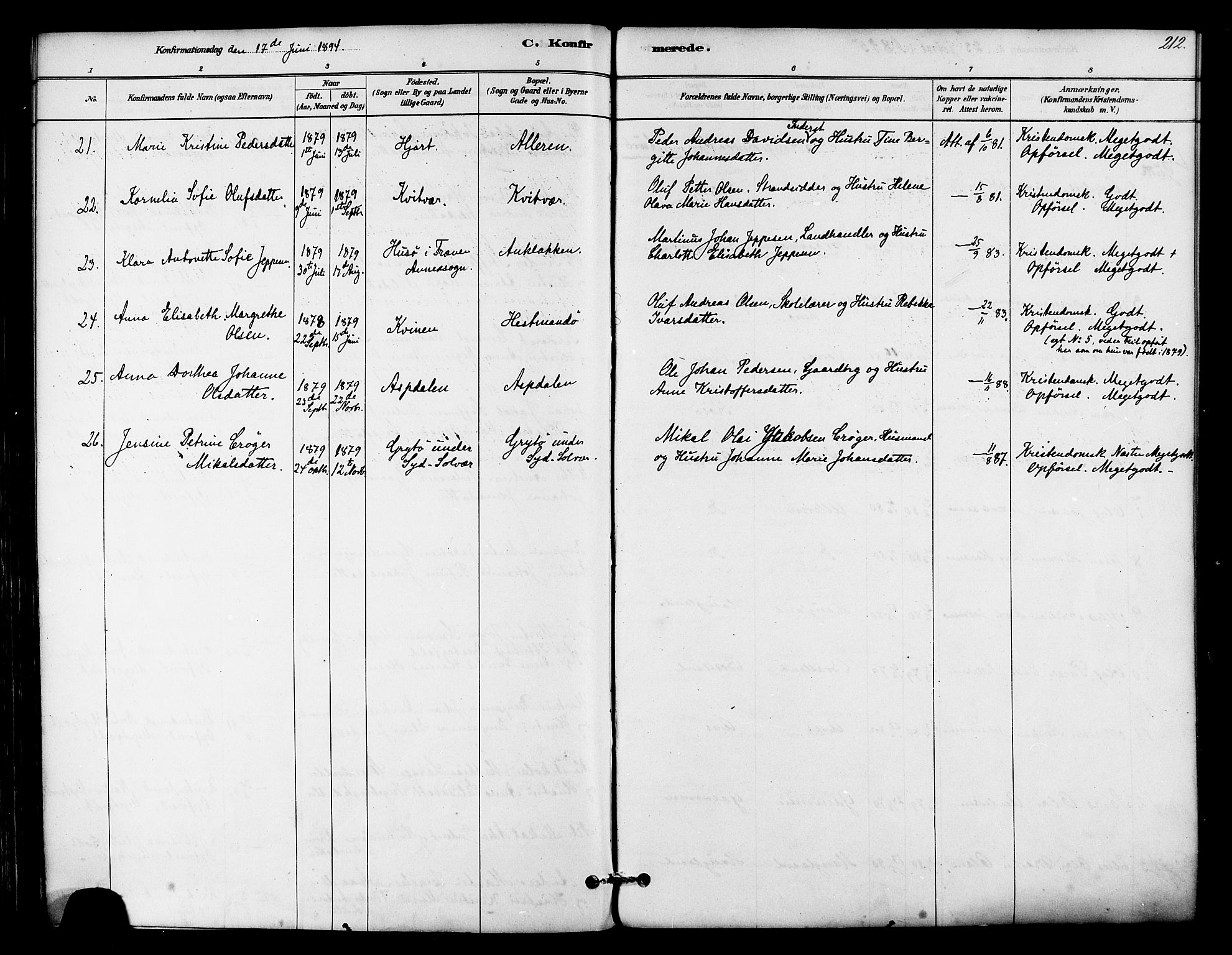 Ministerialprotokoller, klokkerbøker og fødselsregistre - Nordland, SAT/A-1459/839/L0568: Ministerialbok nr. 839A05, 1880-1902, s. 212