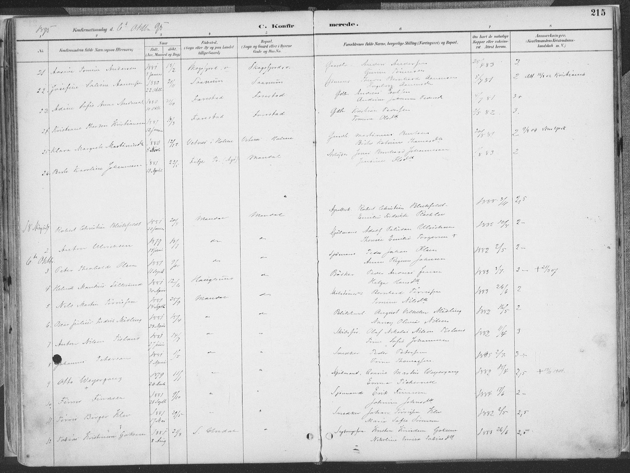 Mandal sokneprestkontor, SAK/1111-0030/F/Fa/Faa/L0018: Ministerialbok nr. A 18, 1890-1905, s. 215