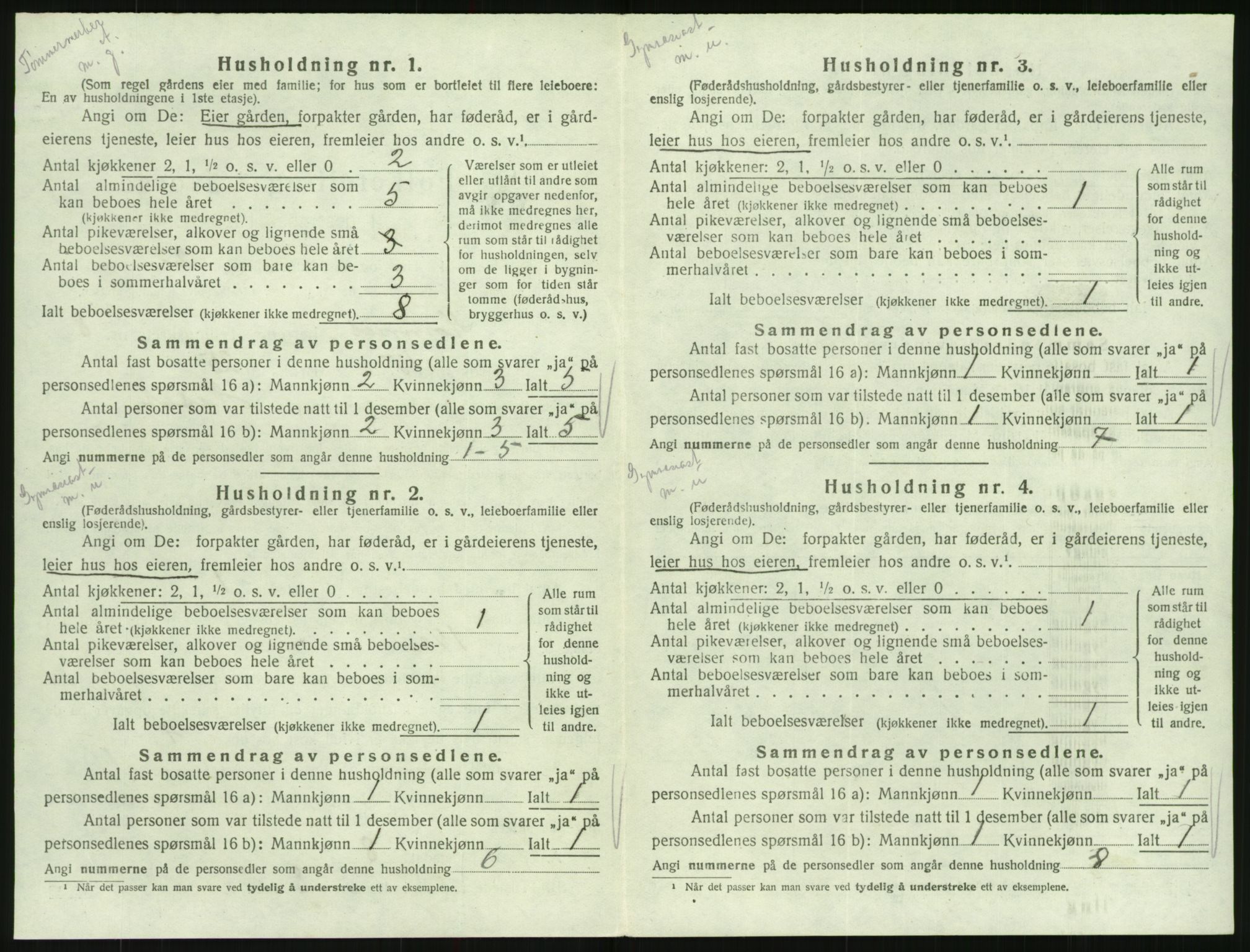 SAK, Folketelling 1920 for 0936 Hornnes herred, 1920, s. 338