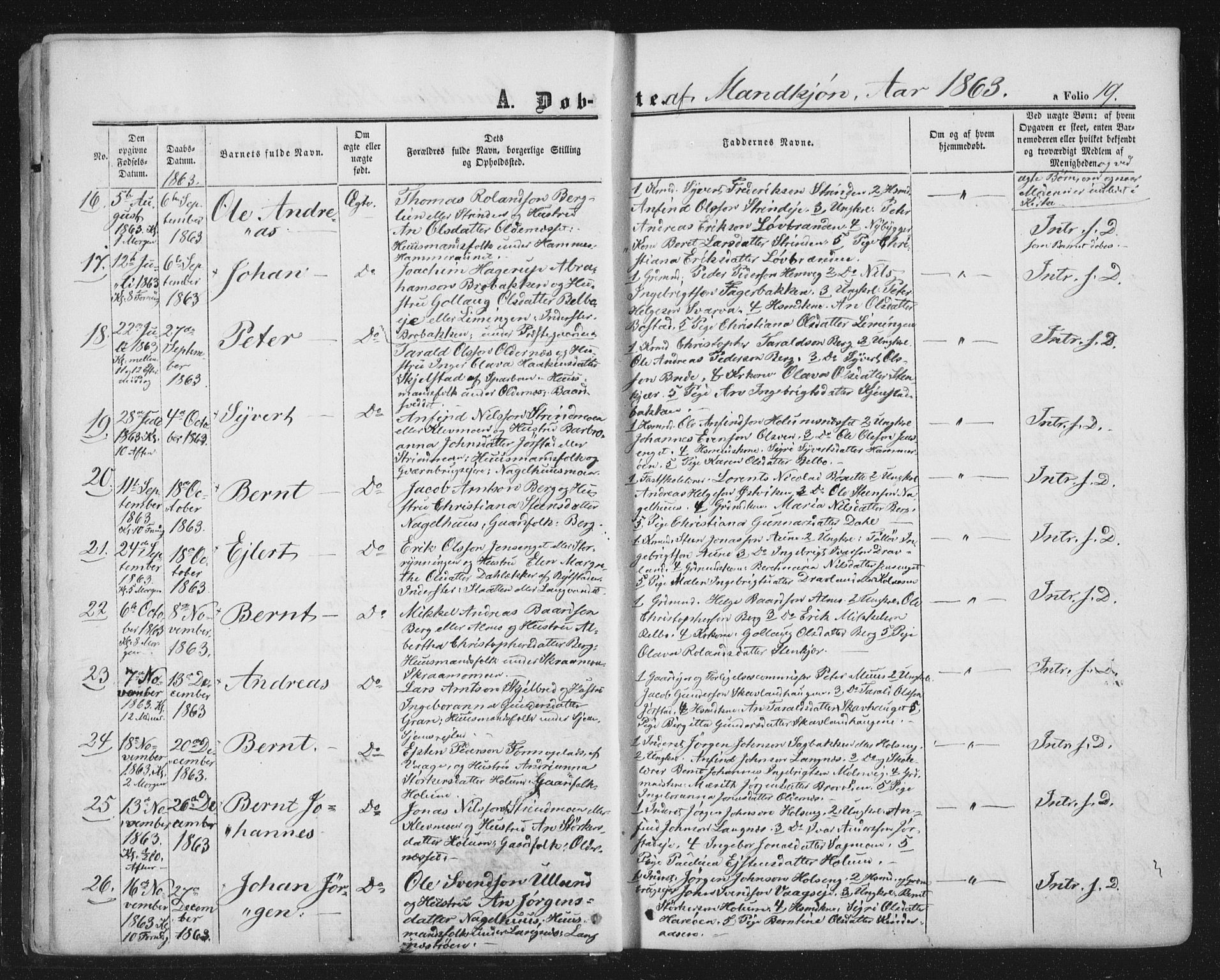 Ministerialprotokoller, klokkerbøker og fødselsregistre - Nord-Trøndelag, SAT/A-1458/749/L0472: Ministerialbok nr. 749A06, 1857-1873, s. 19