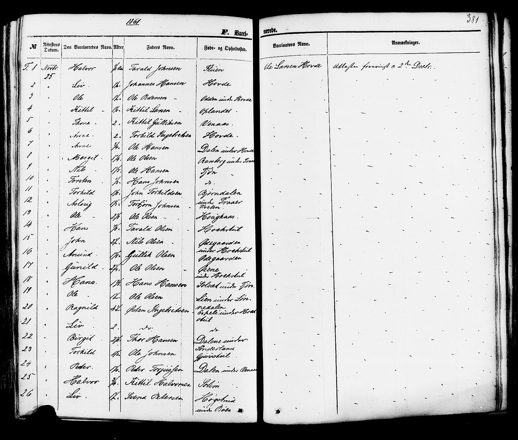 Hjartdal kirkebøker, AV/SAKO-A-270/F/Fa/L0009: Ministerialbok nr. I 9, 1860-1879, s. 381