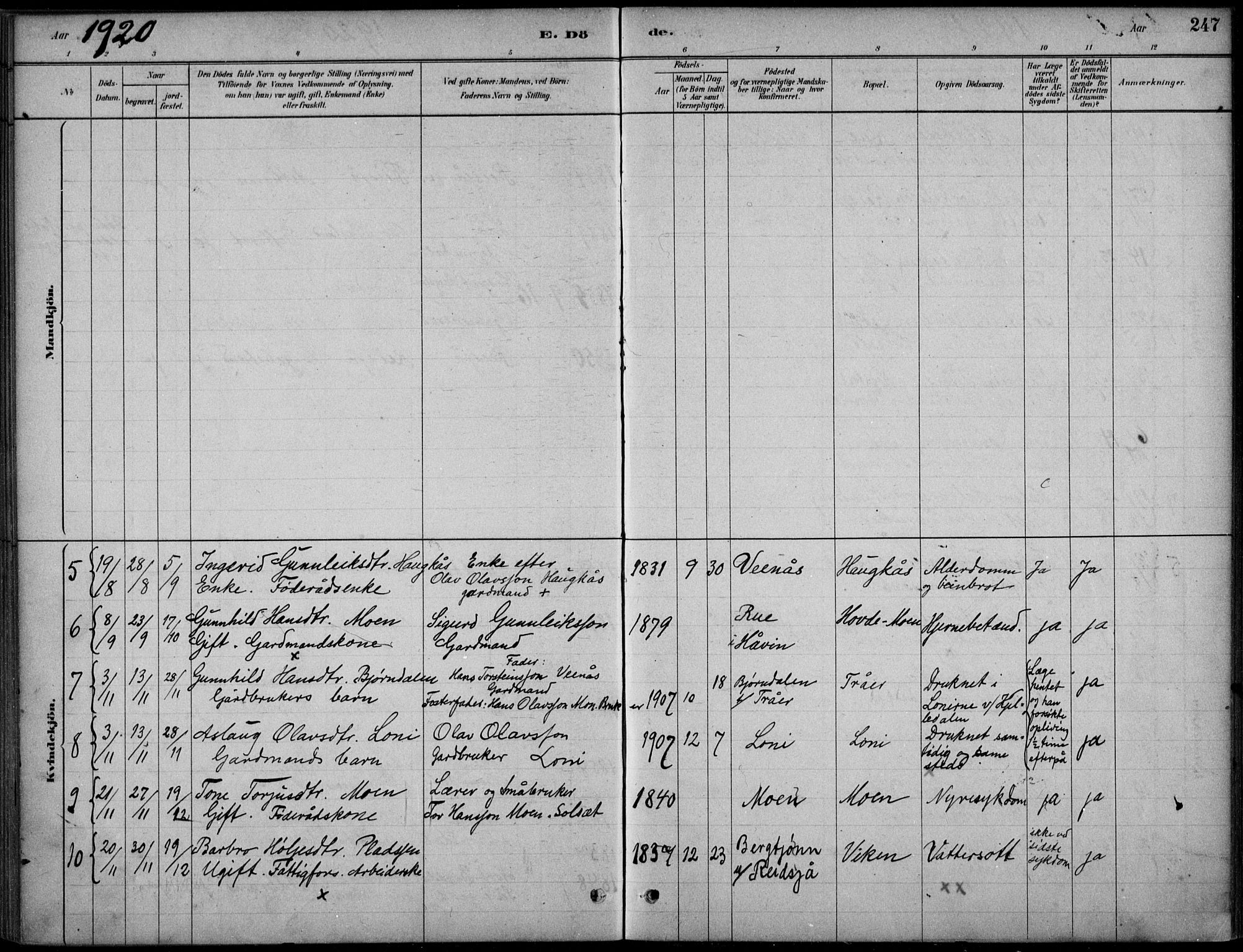 Hjartdal kirkebøker, AV/SAKO-A-270/F/Fc/L0002: Ministerialbok nr. III 2, 1880-1936, s. 247