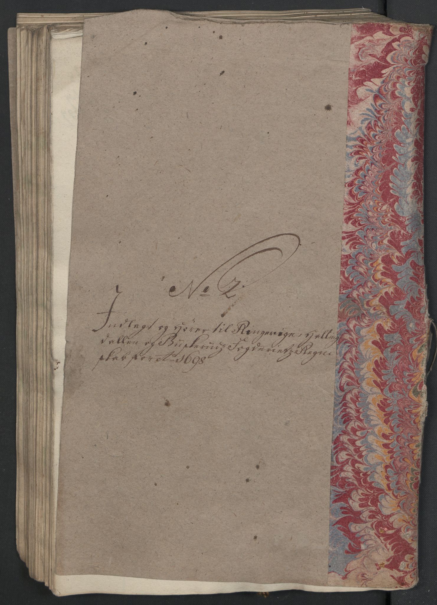 Rentekammeret inntil 1814, Reviderte regnskaper, Fogderegnskap, AV/RA-EA-4092/R22/L1455: Fogderegnskap Ringerike, Hallingdal og Buskerud, 1698, s. 220