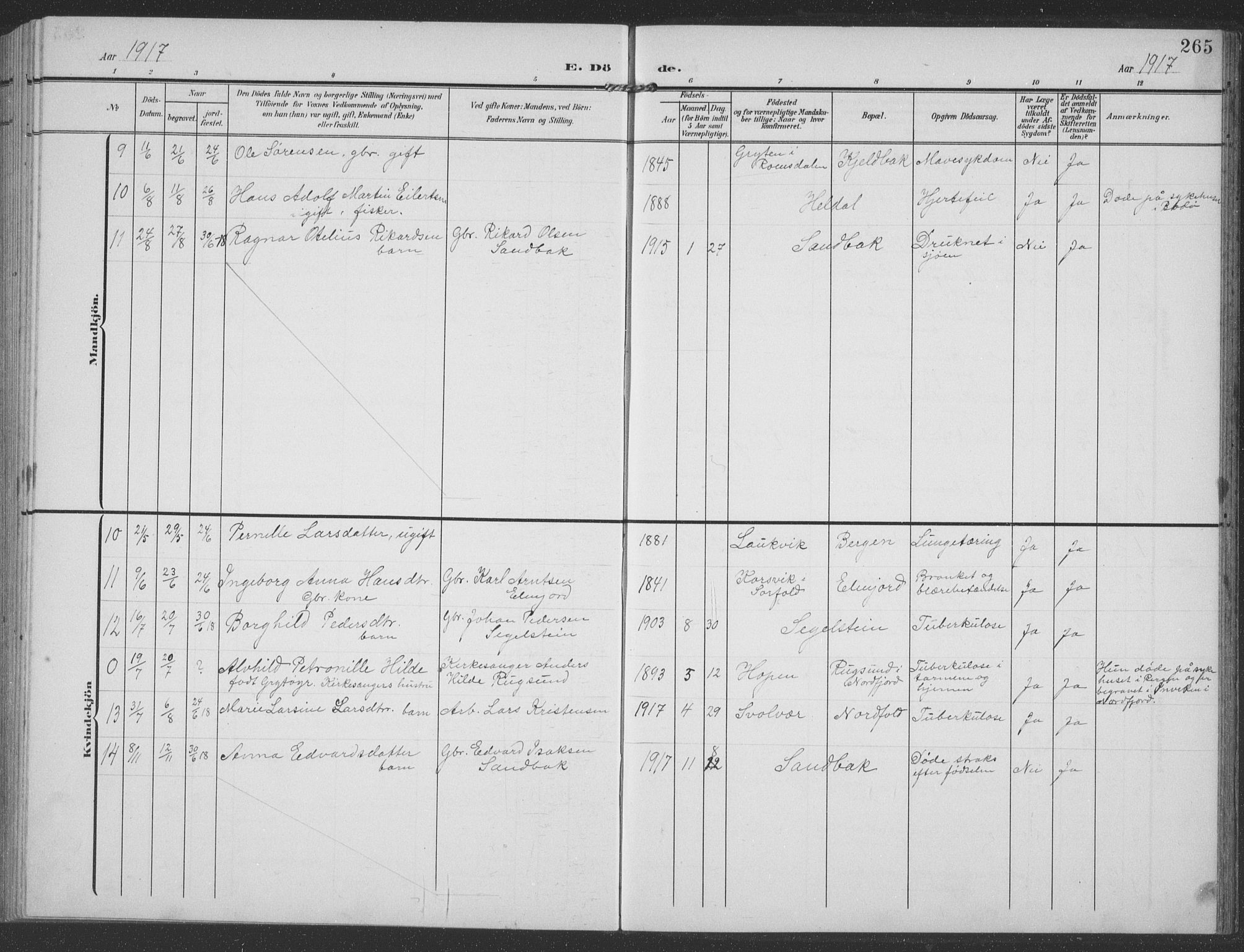 Ministerialprotokoller, klokkerbøker og fødselsregistre - Nordland, AV/SAT-A-1459/858/L0835: Klokkerbok nr. 858C02, 1904-1940, s. 265