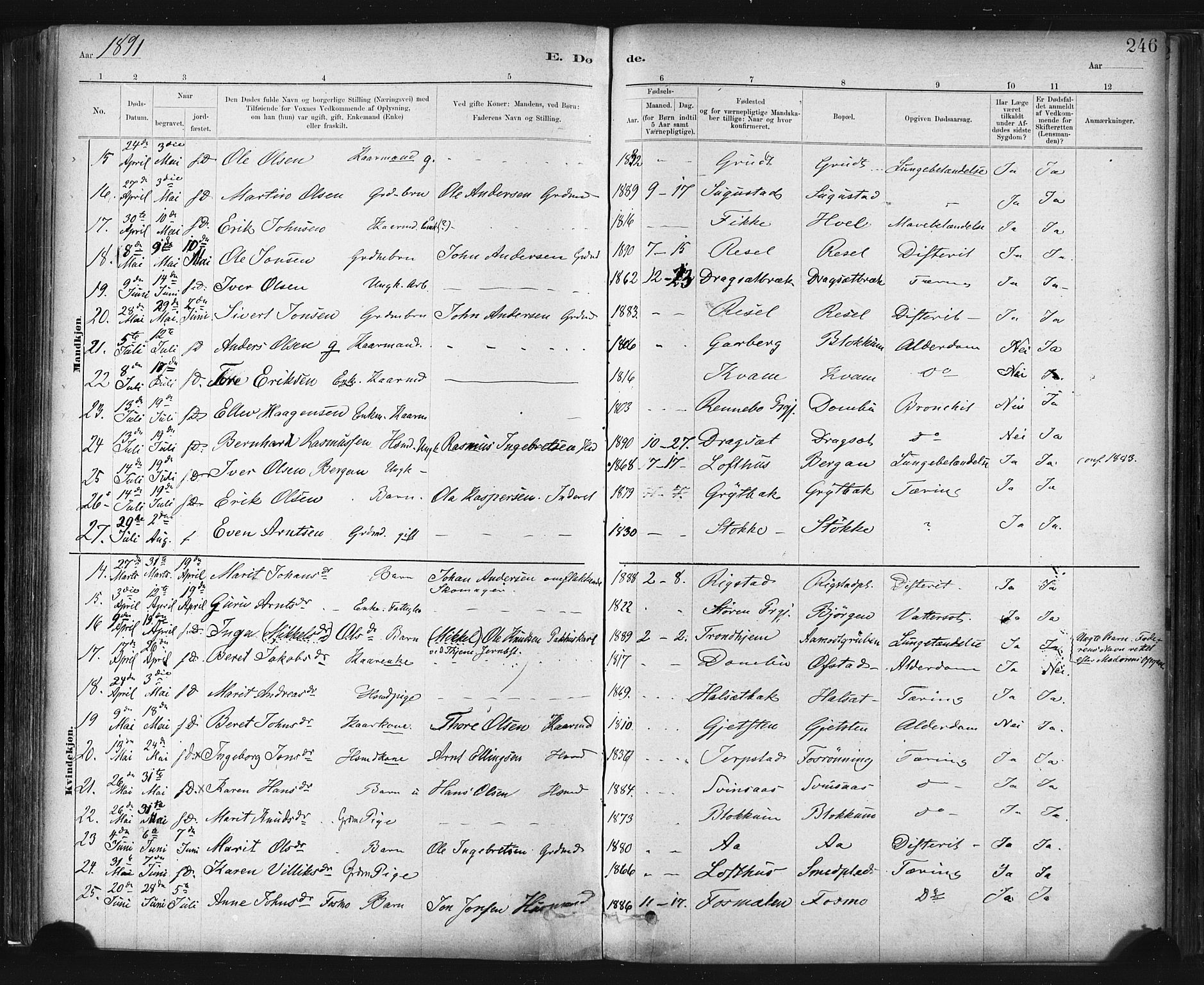 Ministerialprotokoller, klokkerbøker og fødselsregistre - Sør-Trøndelag, SAT/A-1456/672/L0857: Ministerialbok nr. 672A09, 1882-1893, s. 246