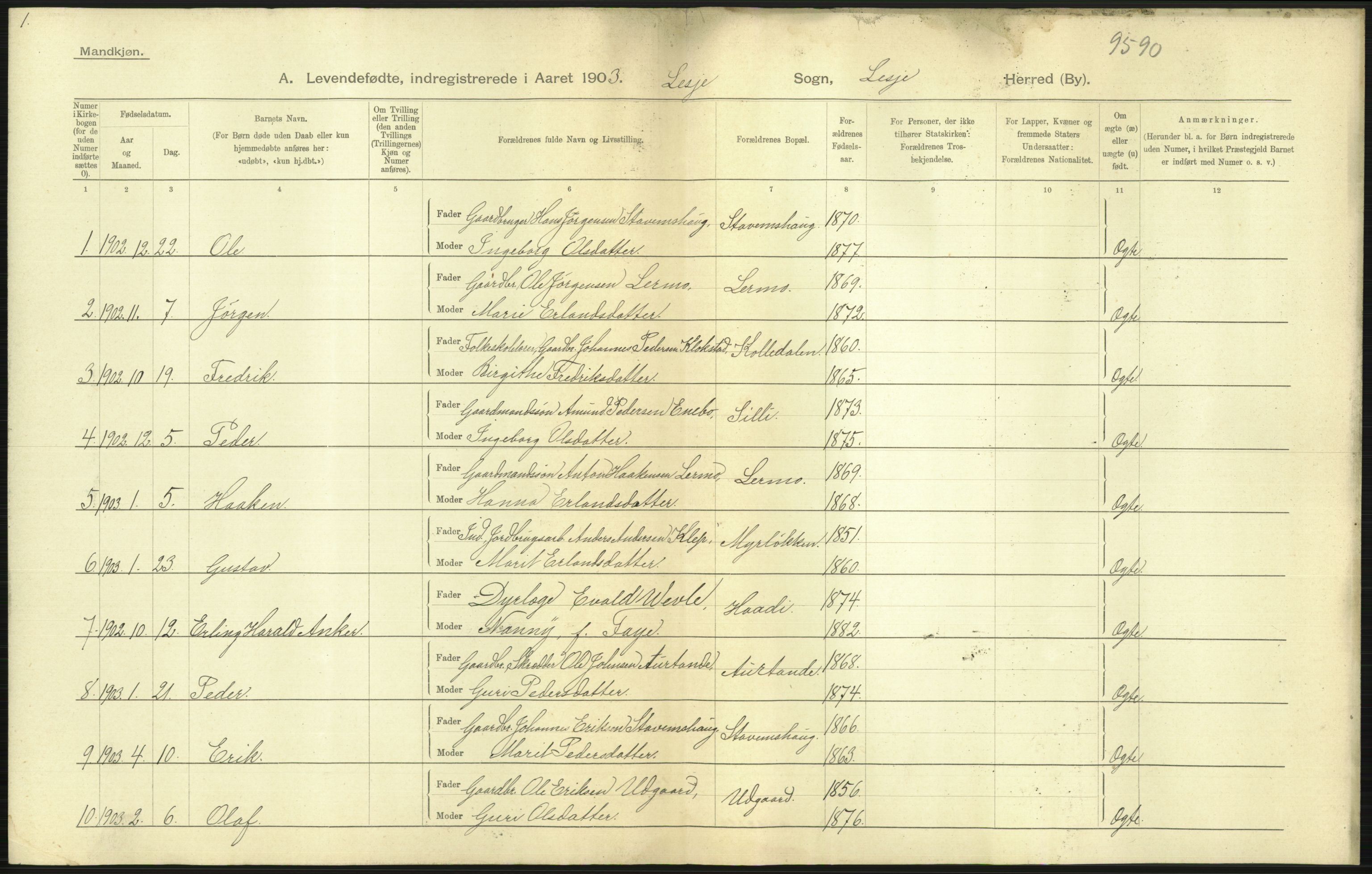 Statistisk sentralbyrå, Sosiodemografiske emner, Befolkning, AV/RA-S-2228/D/Df/Dfa/Dfaa/L0006: Kristians amt: Fødte, gifte, døde, 1903, s. 9