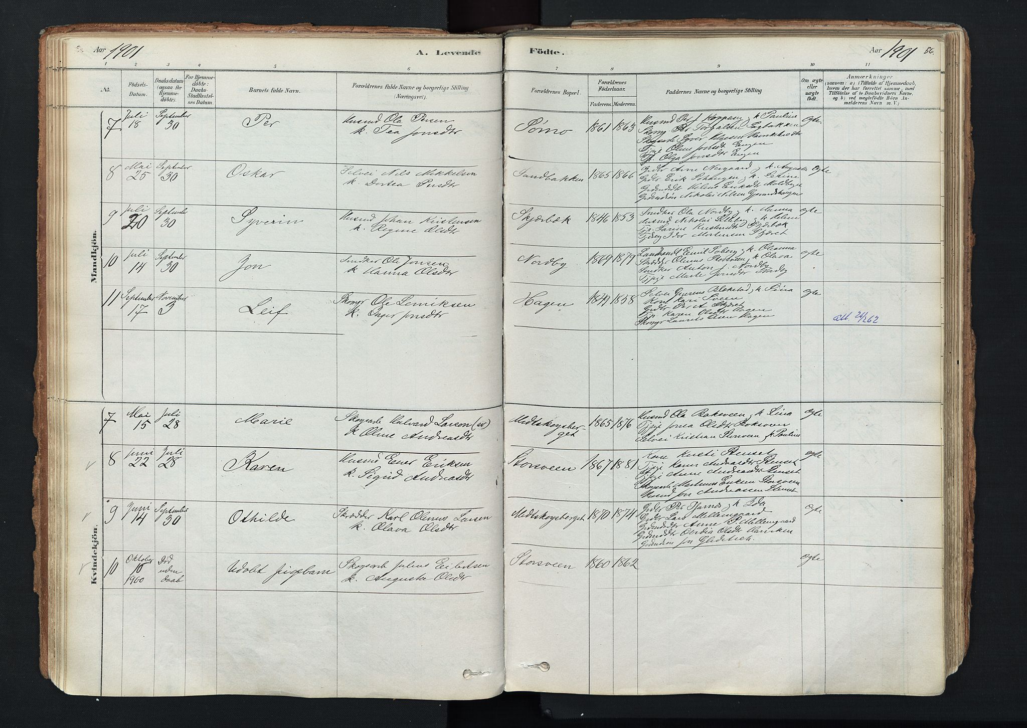 Trysil prestekontor, SAH/PREST-046/H/Ha/Haa/L0011: Ministerialbok nr. 11, 1878-1912, s. 56