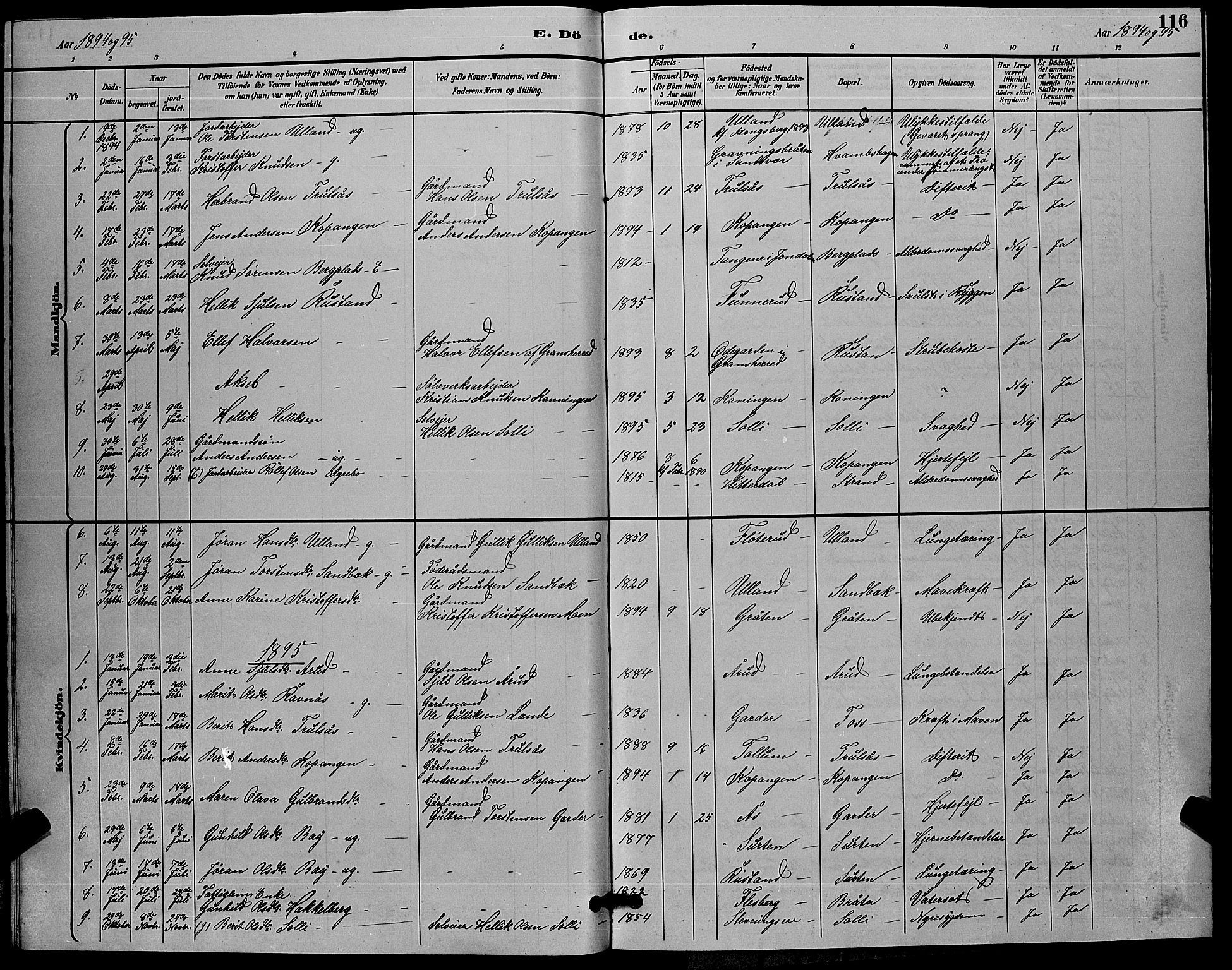 Flesberg kirkebøker, AV/SAKO-A-18/G/Ga/L0004: Klokkerbok nr. I 4 /2, 1890-1898, s. 116