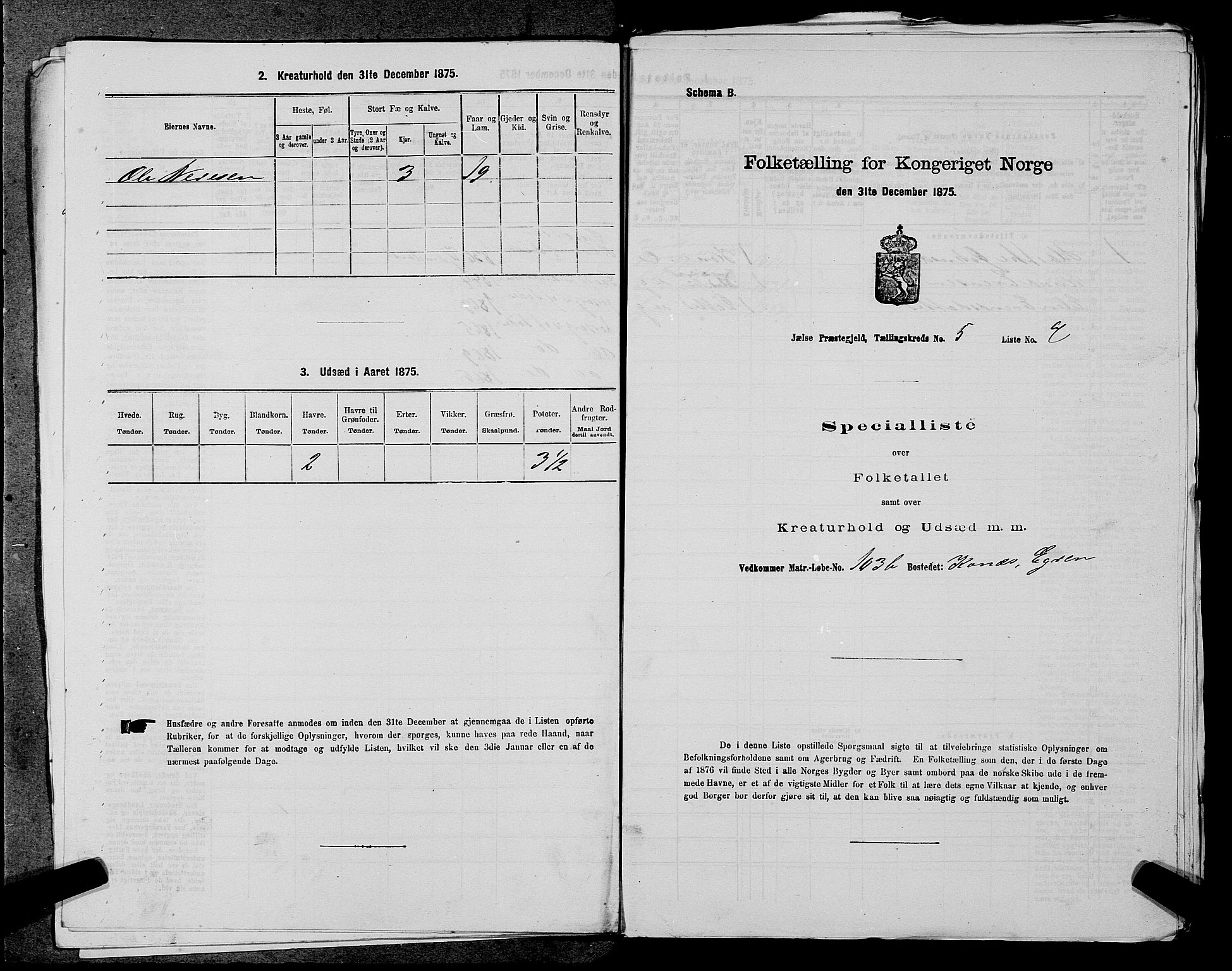 SAST, Folketelling 1875 for 1138P Jelsa prestegjeld, 1875, s. 423