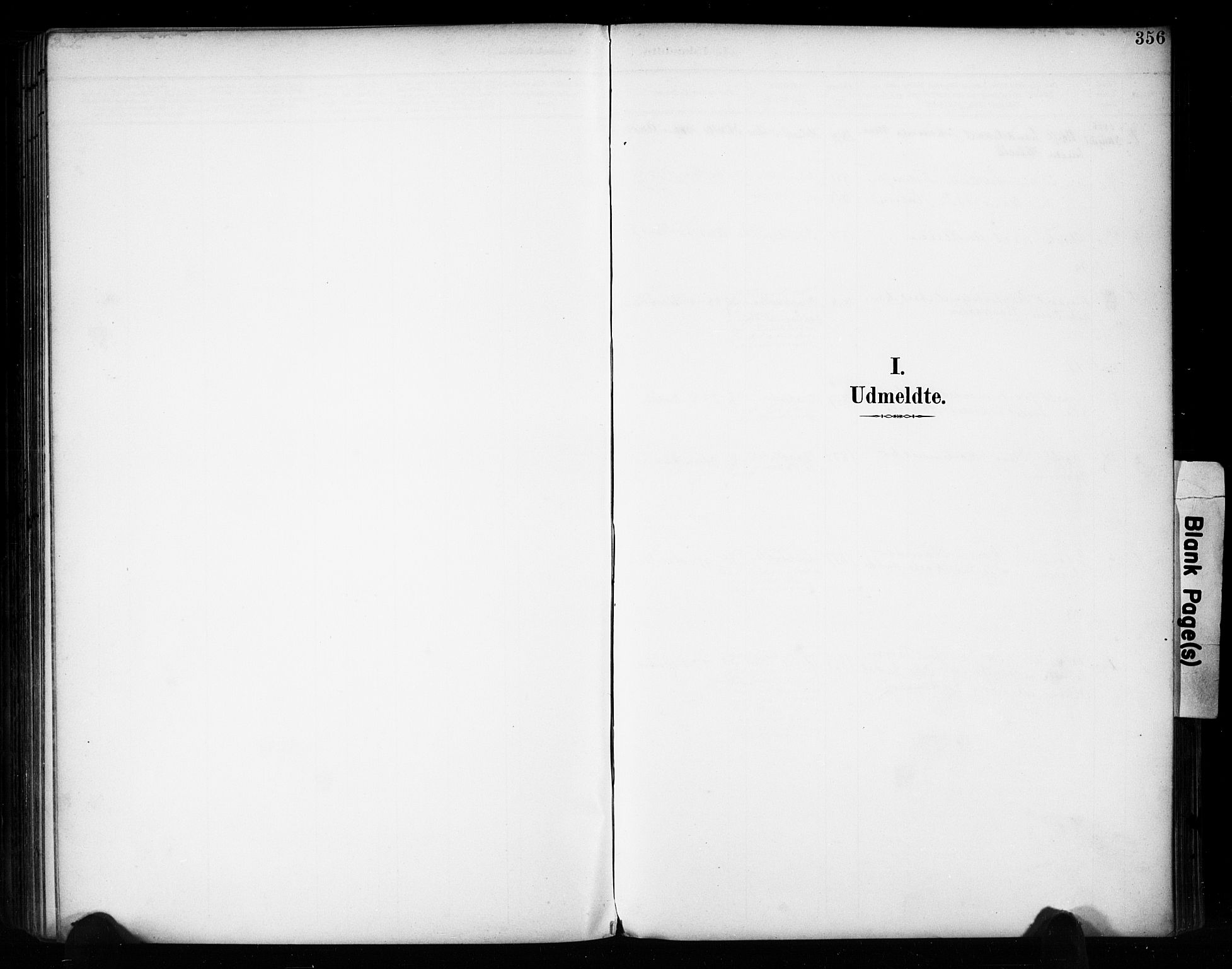 Vestre Toten prestekontor, AV/SAH-PREST-108/H/Ha/Haa/L0011: Ministerialbok nr. 11, 1895-1906, s. 356