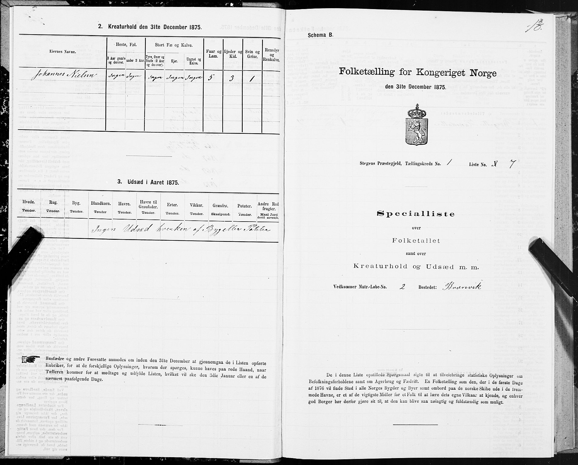 SAT, Folketelling 1875 for 1848P Steigen prestegjeld, 1875, s. 1013