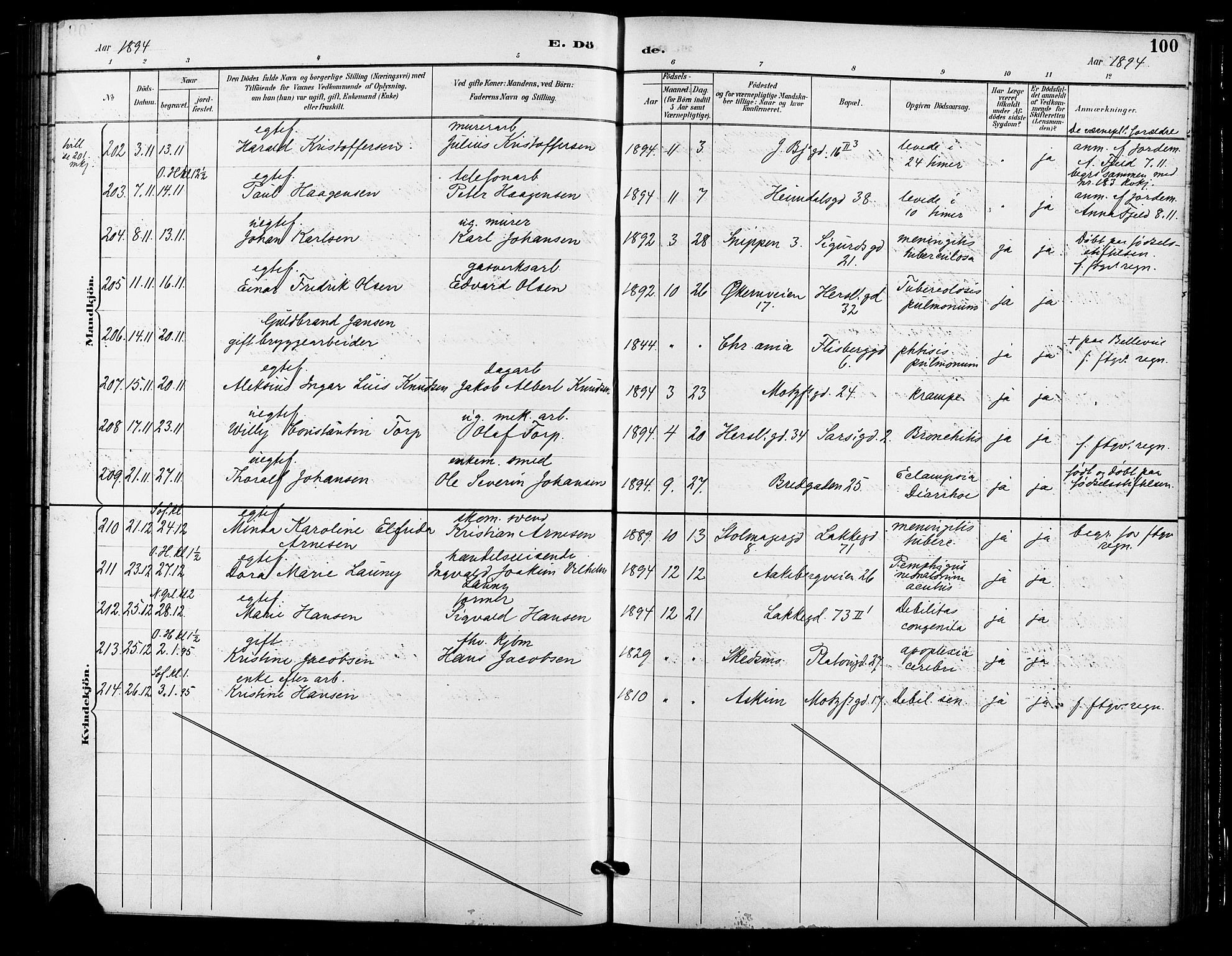 Grønland prestekontor Kirkebøker, AV/SAO-A-10848/F/Fa/L0010: Ministerialbok nr. 10, 1891-1898, s. 100
