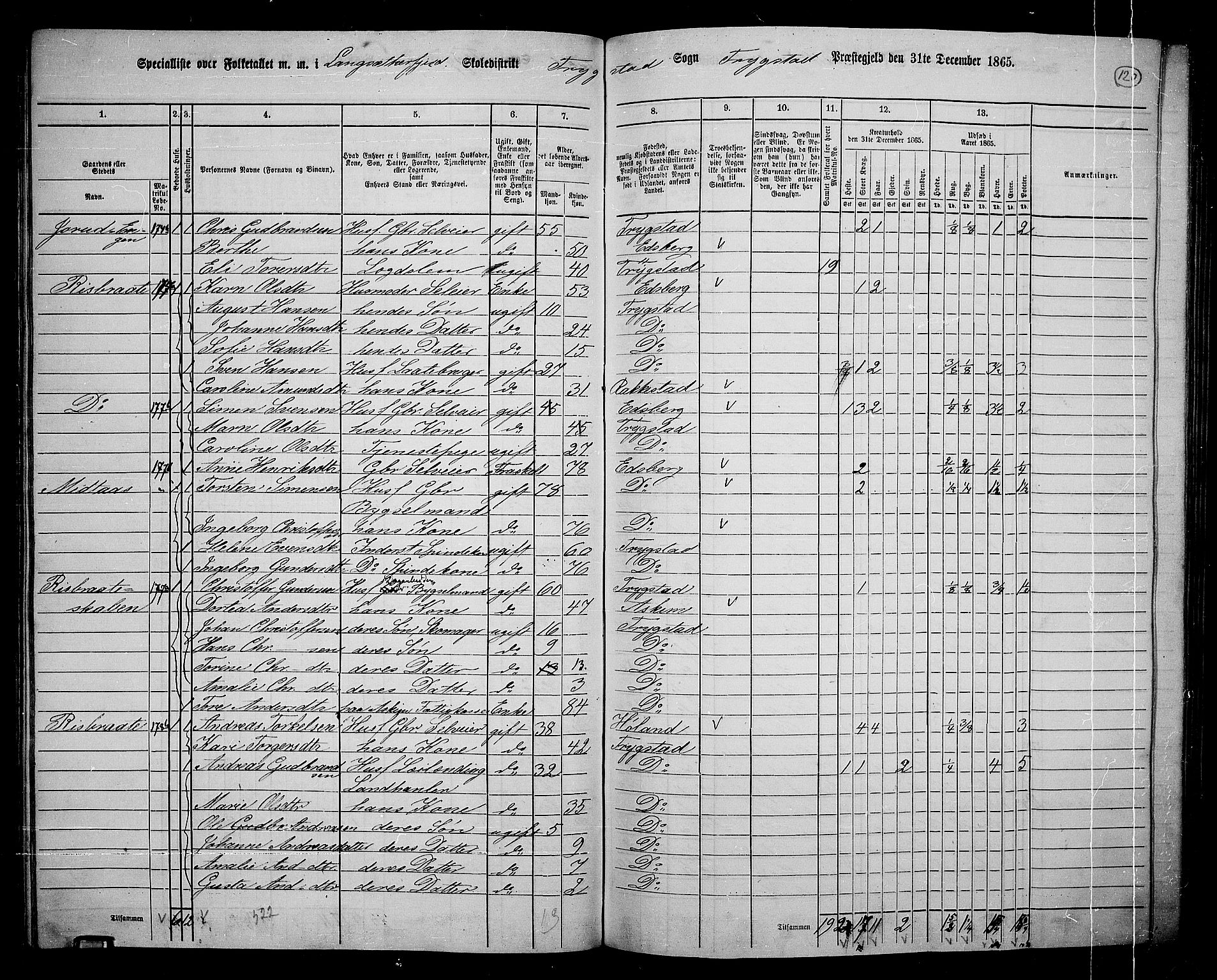 RA, Folketelling 1865 for 0122P Trøgstad prestegjeld, 1865, s. 104