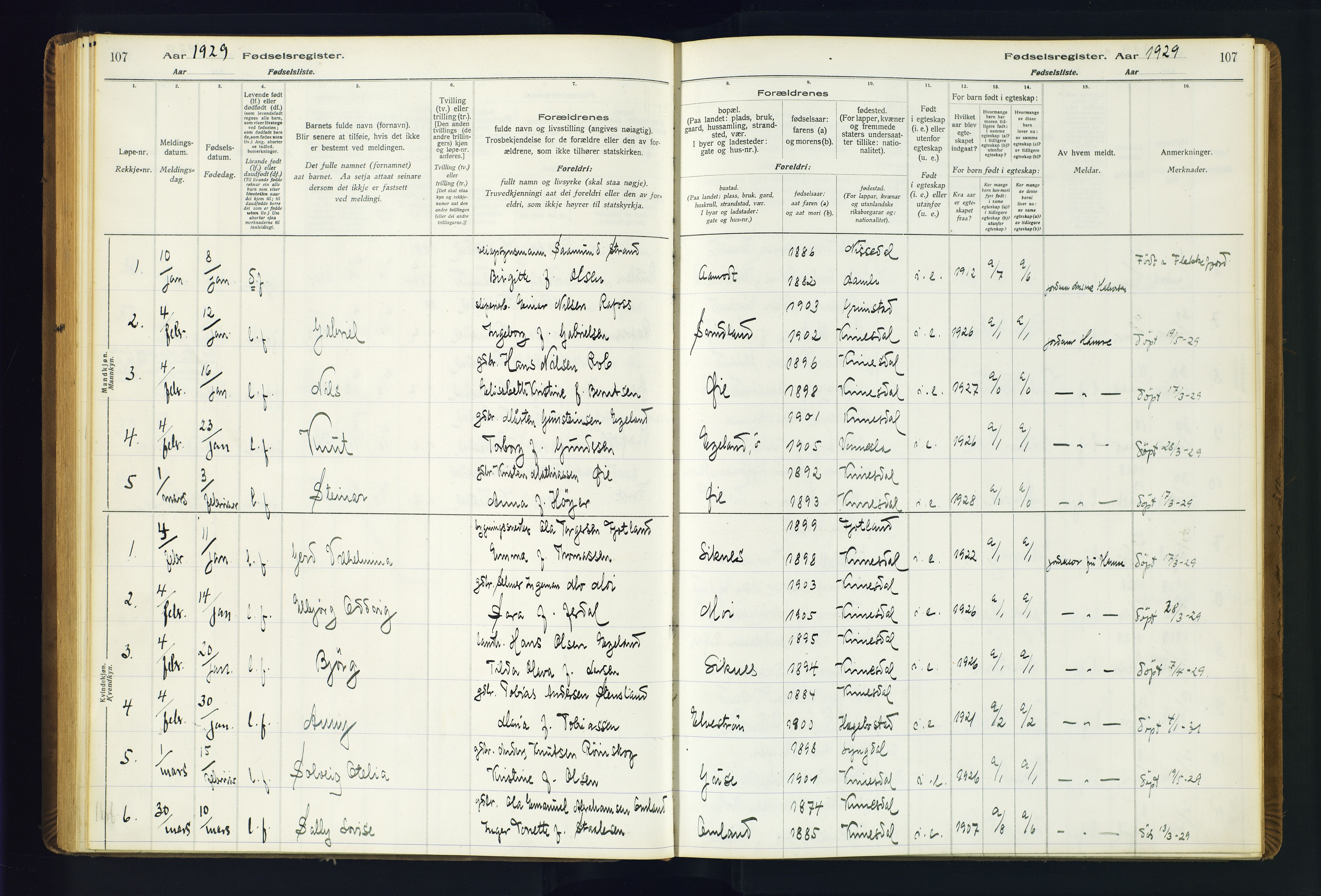 Kvinesdal sokneprestkontor, SAK/1111-0026/J/Ja/L0001: Fødselsregister nr. 1, 1916-1941, s. 107
