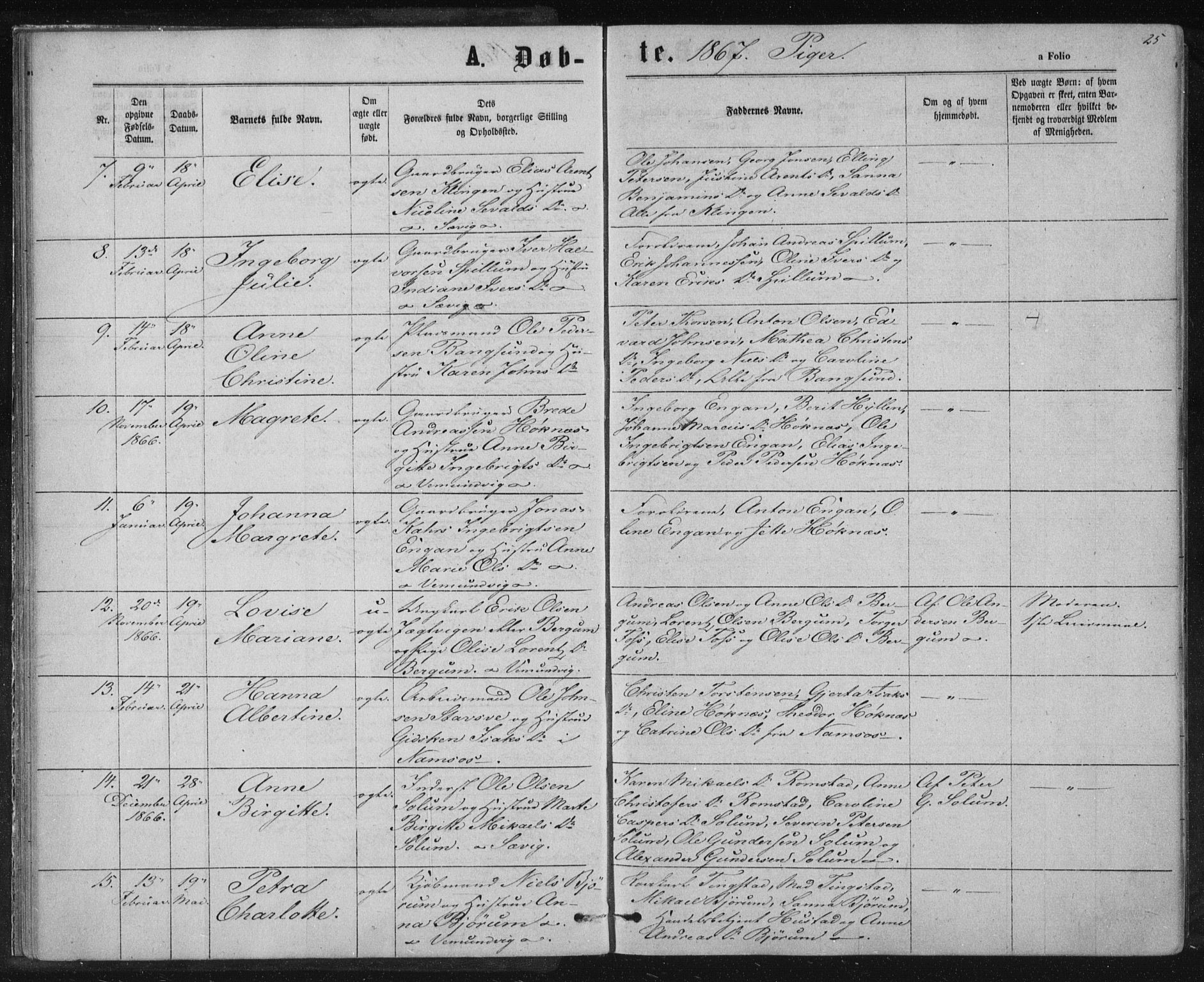 Ministerialprotokoller, klokkerbøker og fødselsregistre - Nord-Trøndelag, AV/SAT-A-1458/768/L0570: Ministerialbok nr. 768A05, 1865-1874, s. 25