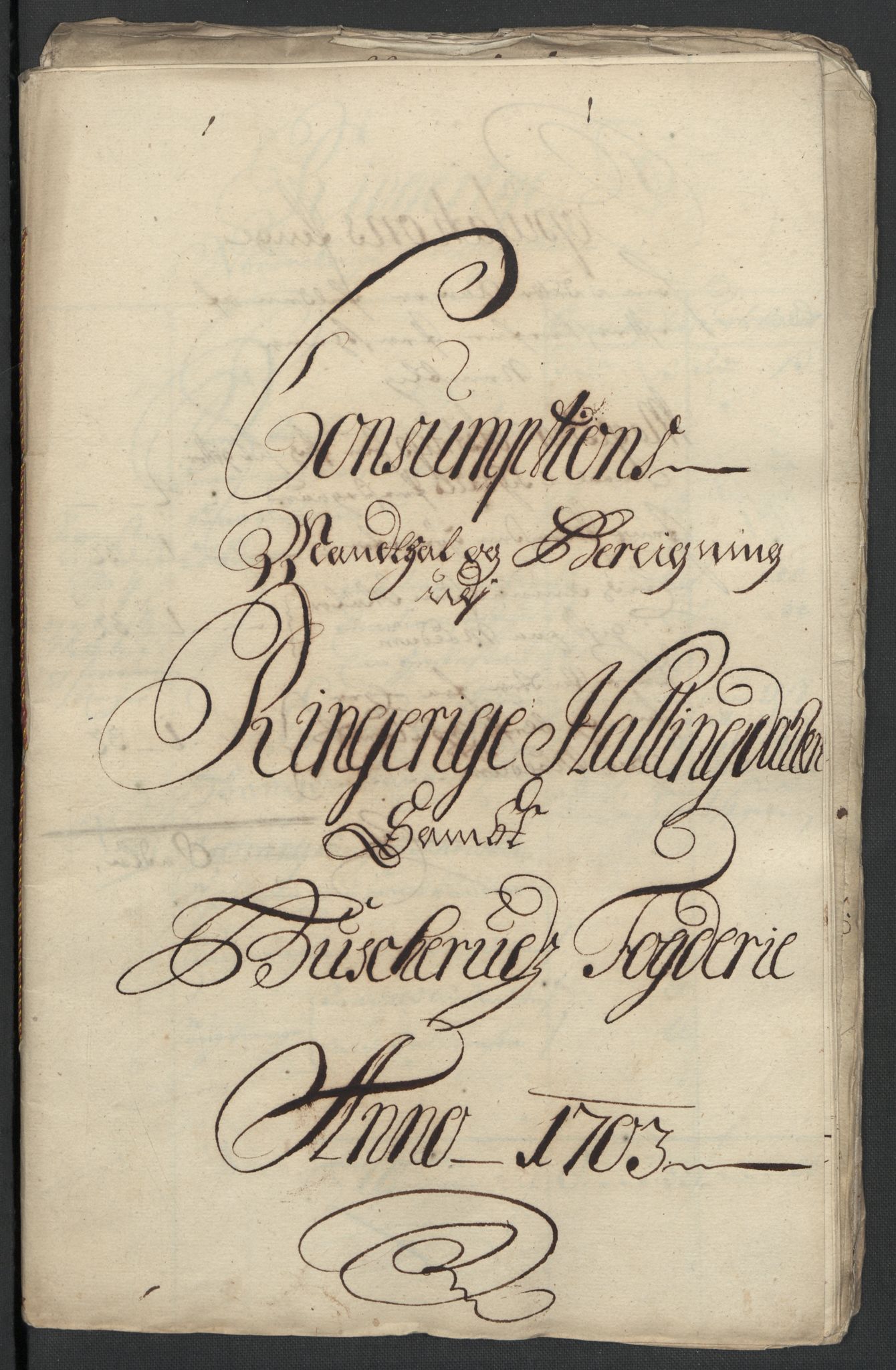 Rentekammeret inntil 1814, Reviderte regnskaper, Fogderegnskap, RA/EA-4092/R22/L1461: Fogderegnskap Ringerike, Hallingdal og Buskerud, 1703, s. 203