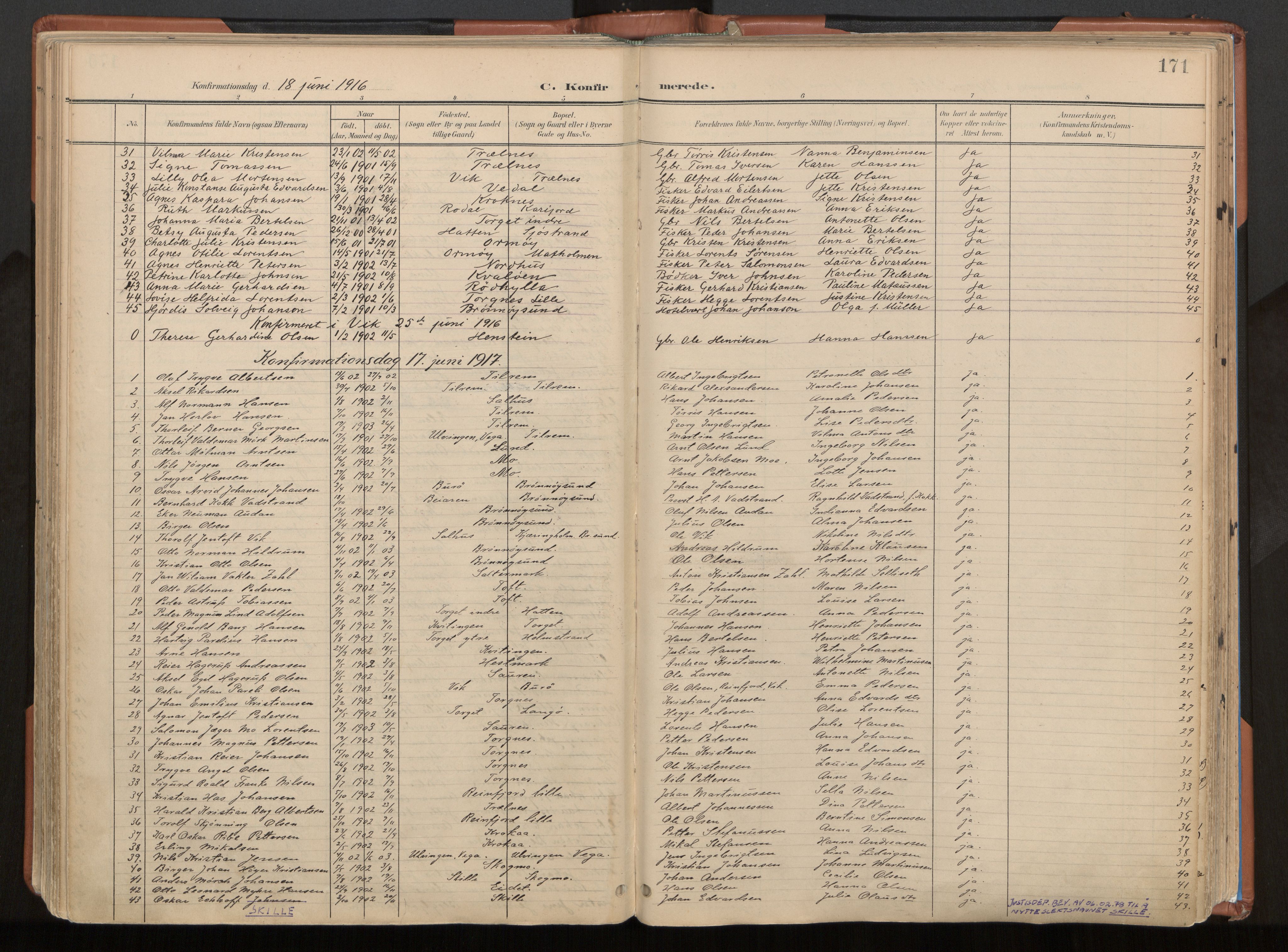 Ministerialprotokoller, klokkerbøker og fødselsregistre - Nordland, SAT/A-1459/813/L0201: Ministerialbok nr. 813A11, 1901-1918, s. 171