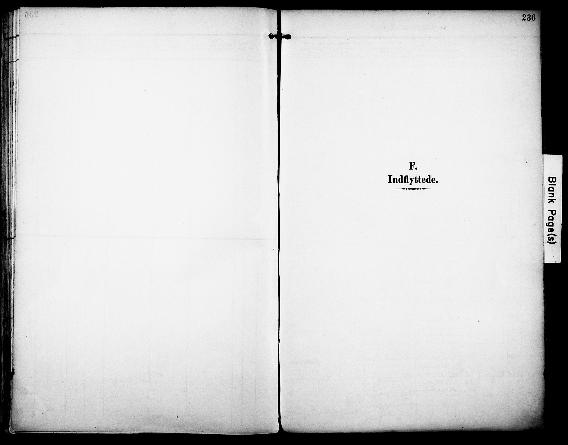 Rakkestad prestekontor Kirkebøker, AV/SAO-A-2008/F/Fa/L0013: Ministerialbok nr. I 13, 1894-1908, s. 236